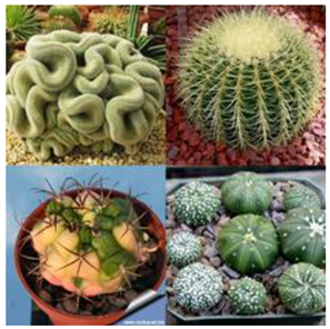 Sustainability 14 16718 i003