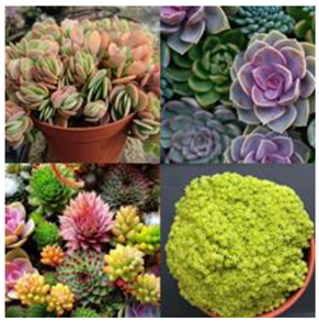 Sustainability 14 16718 i004