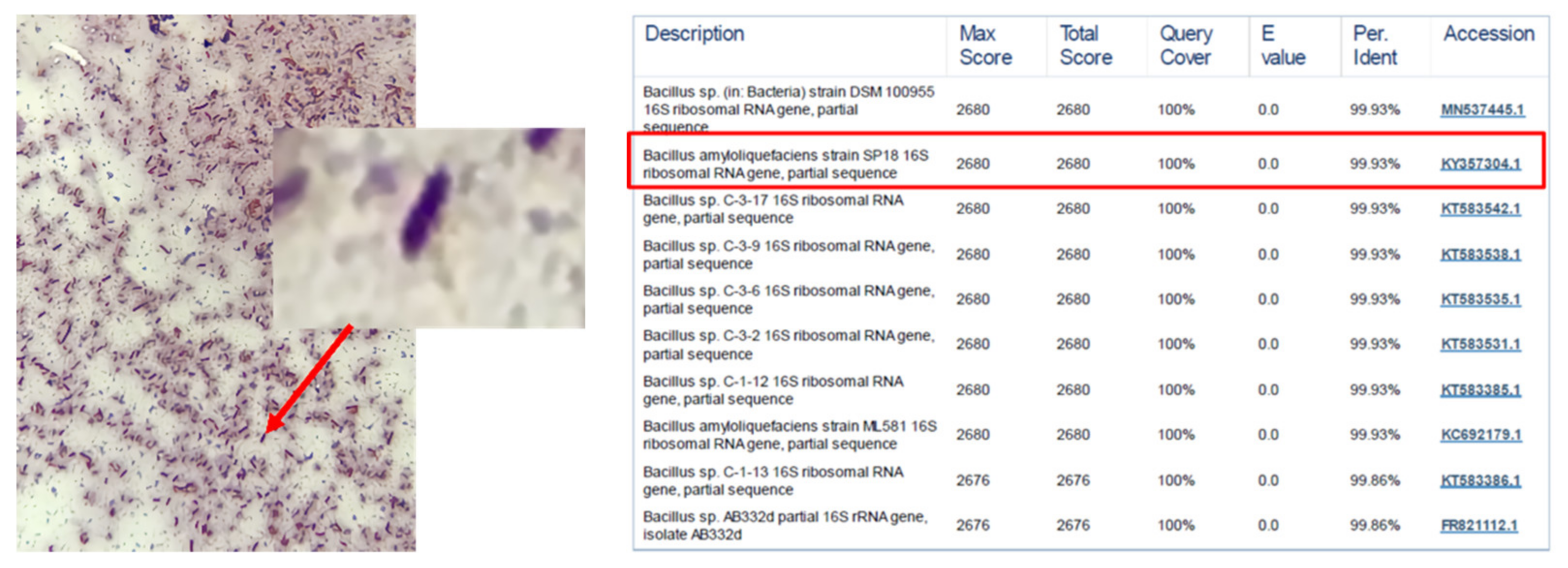 Sustainability 14 16724 g001
