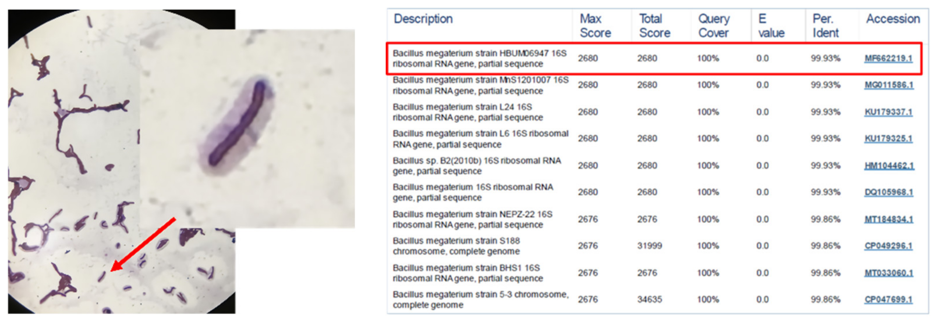 Sustainability 14 16724 g002