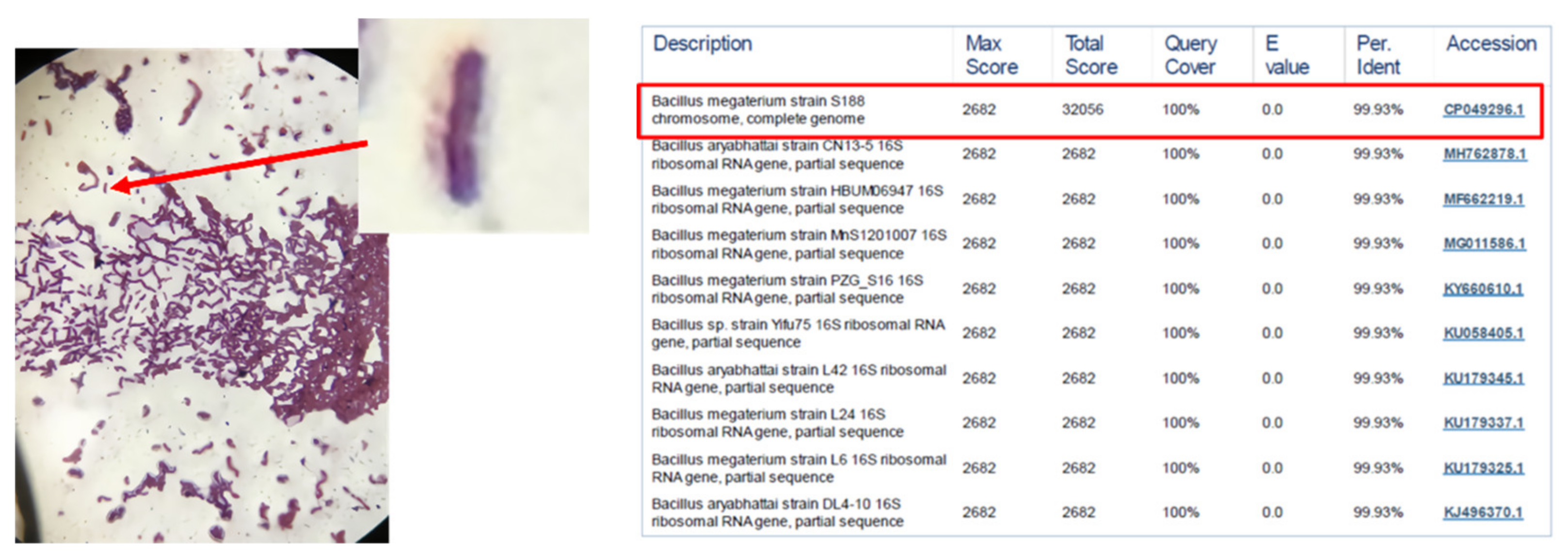 Sustainability 14 16724 g003