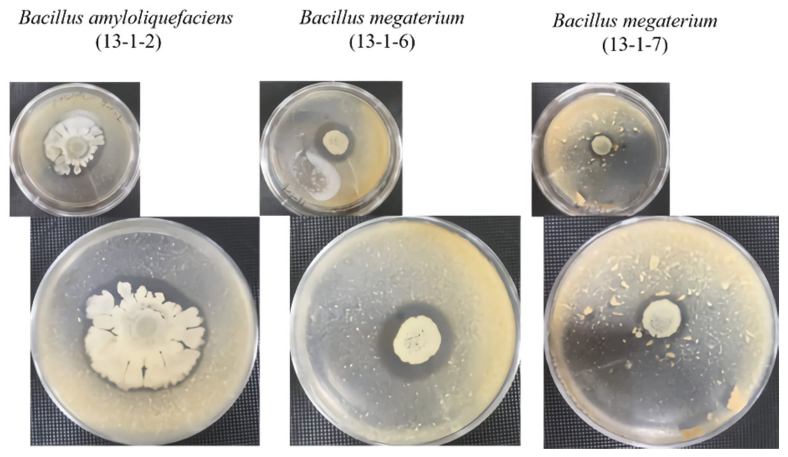 Sustainability 14 16724 g006