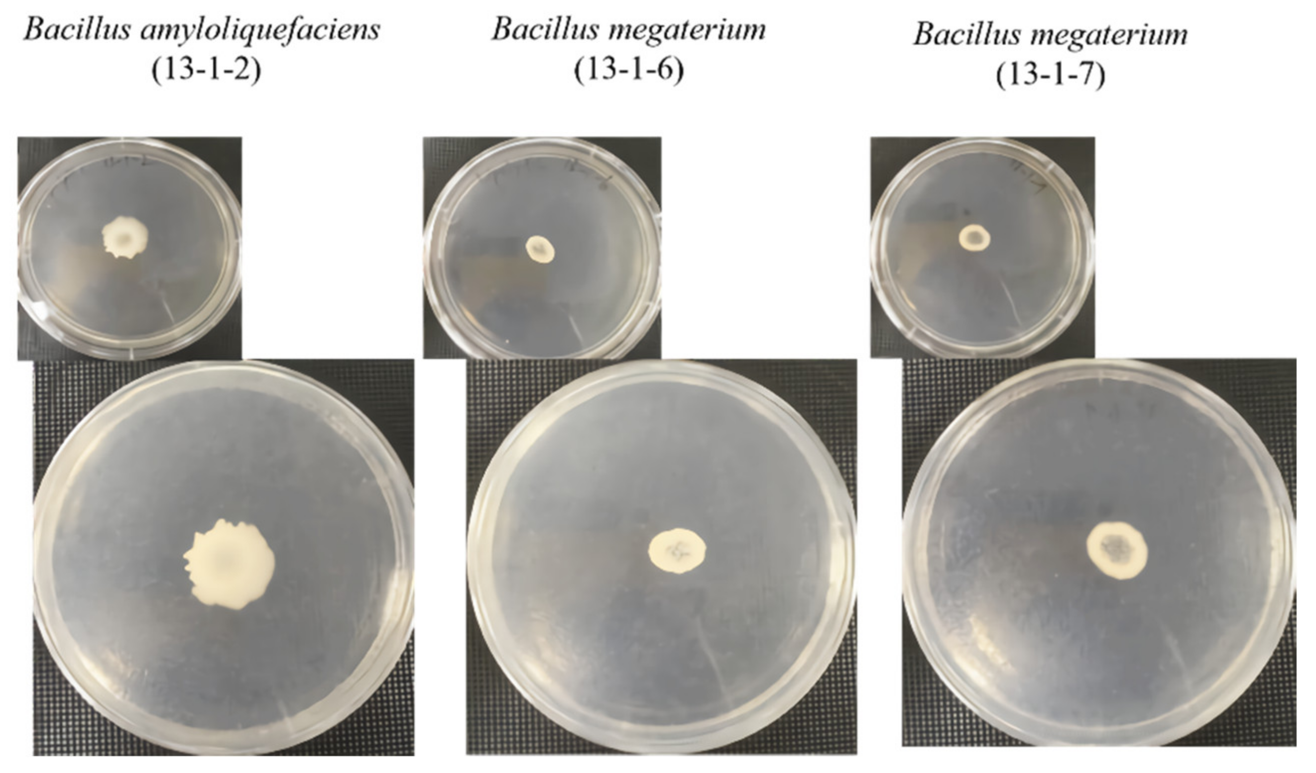 Sustainability 14 16724 g007