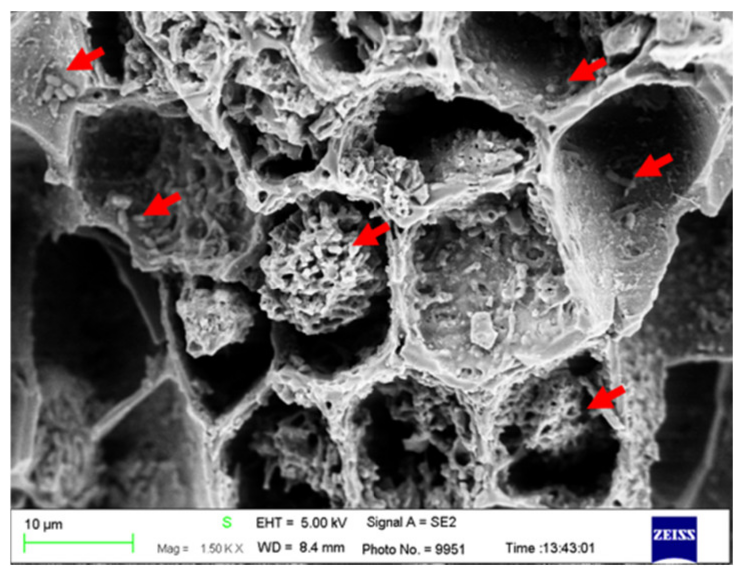 Sustainability 14 16724 g012