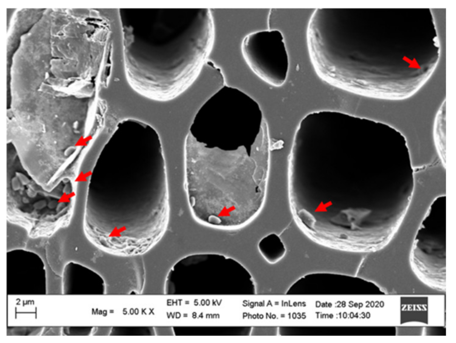 Sustainability 14 16724 g013