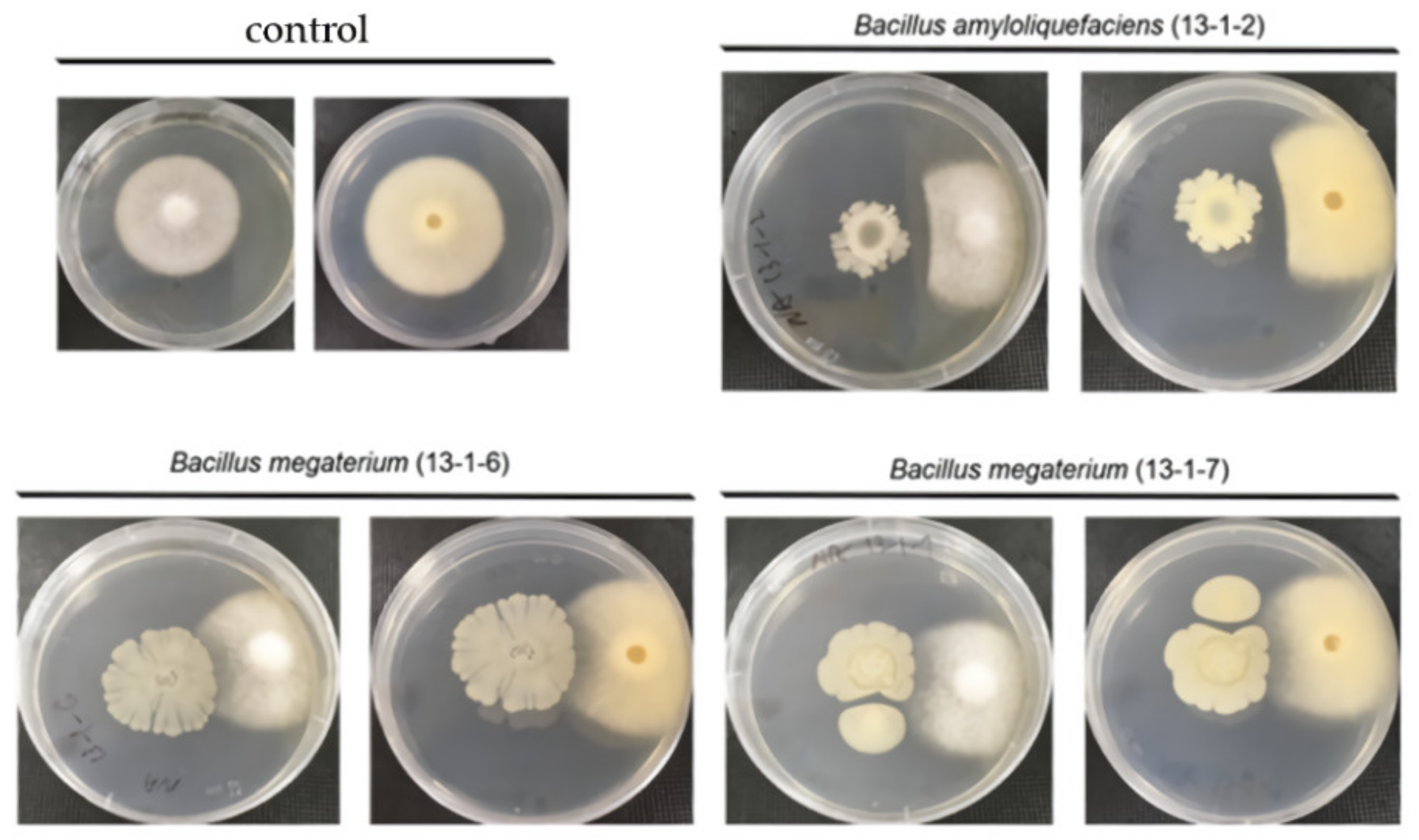 Sustainability 14 16724 g015