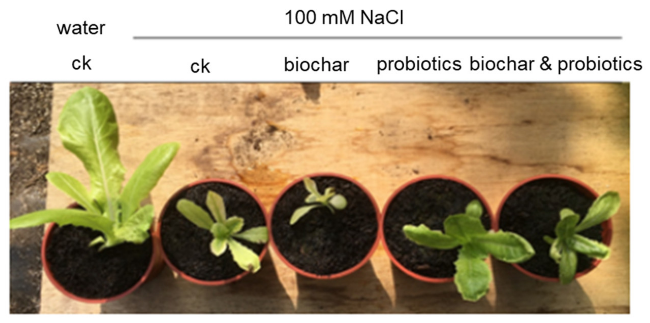 Sustainability 14 16724 g018