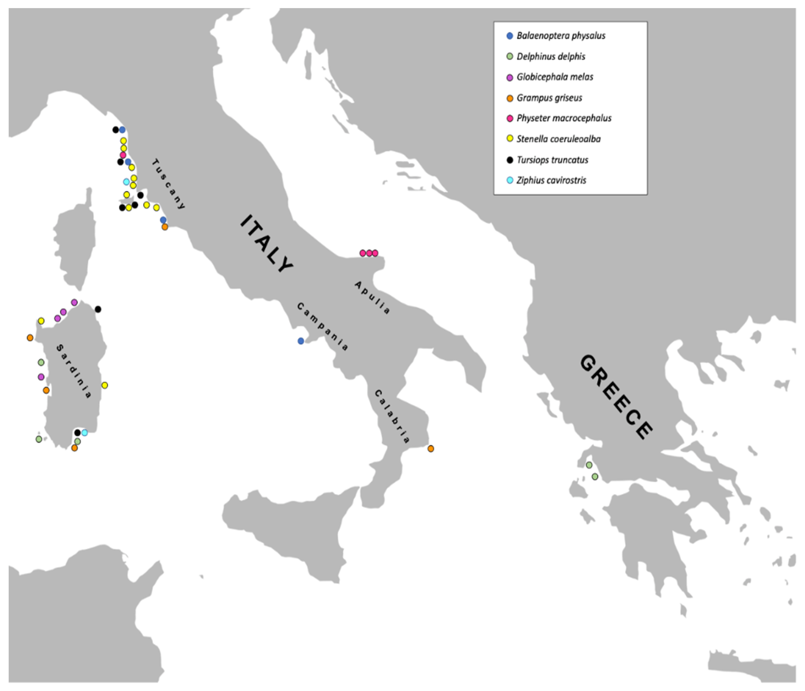 Sustainability 14 16763 g001 Sustainability 14 16763 g001