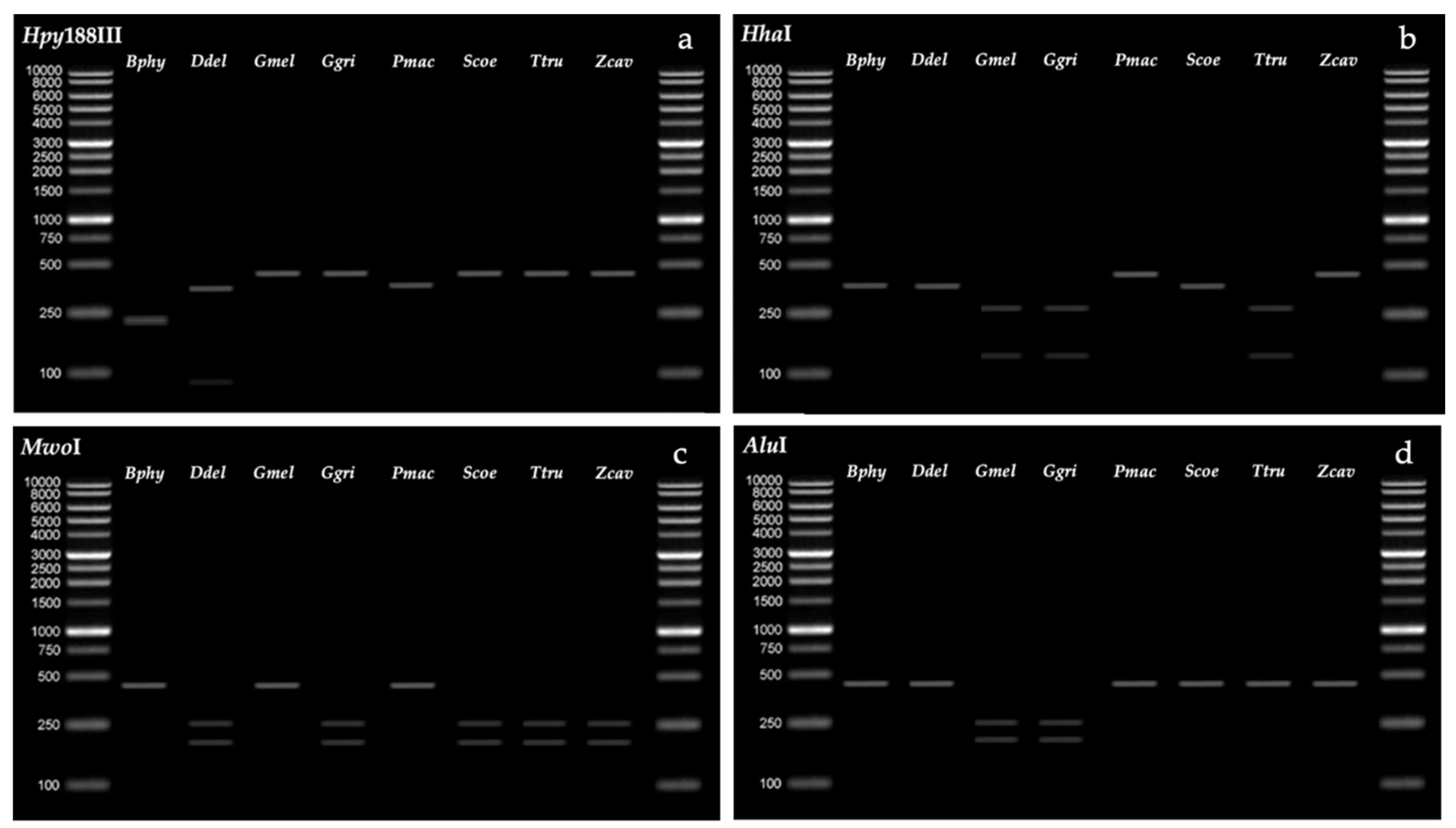 Sustainability 14 16763 g003 Sustainability 14 16763 g003