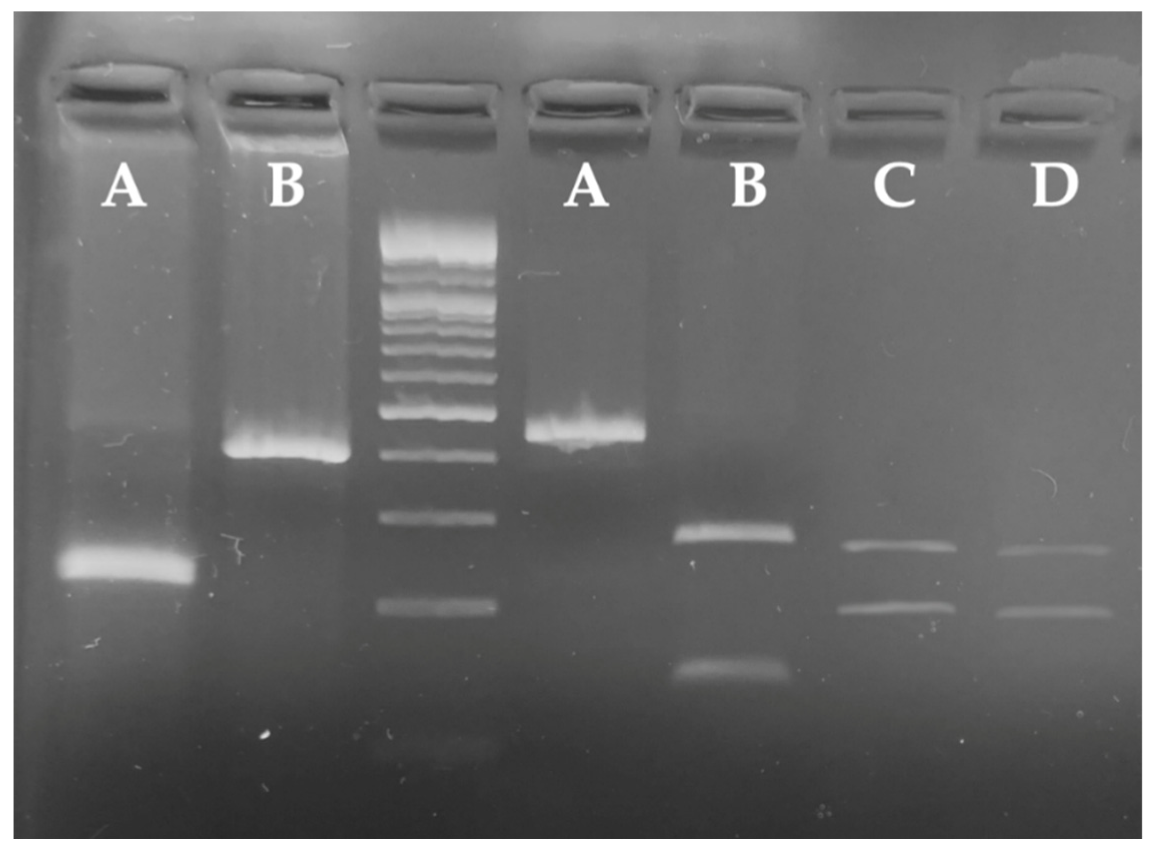 Sustainability 14 16763 g006 Sustainability 14 16763 g006