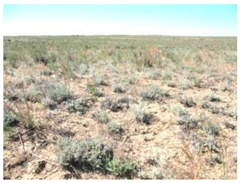 Sustainability 14 16783 g003