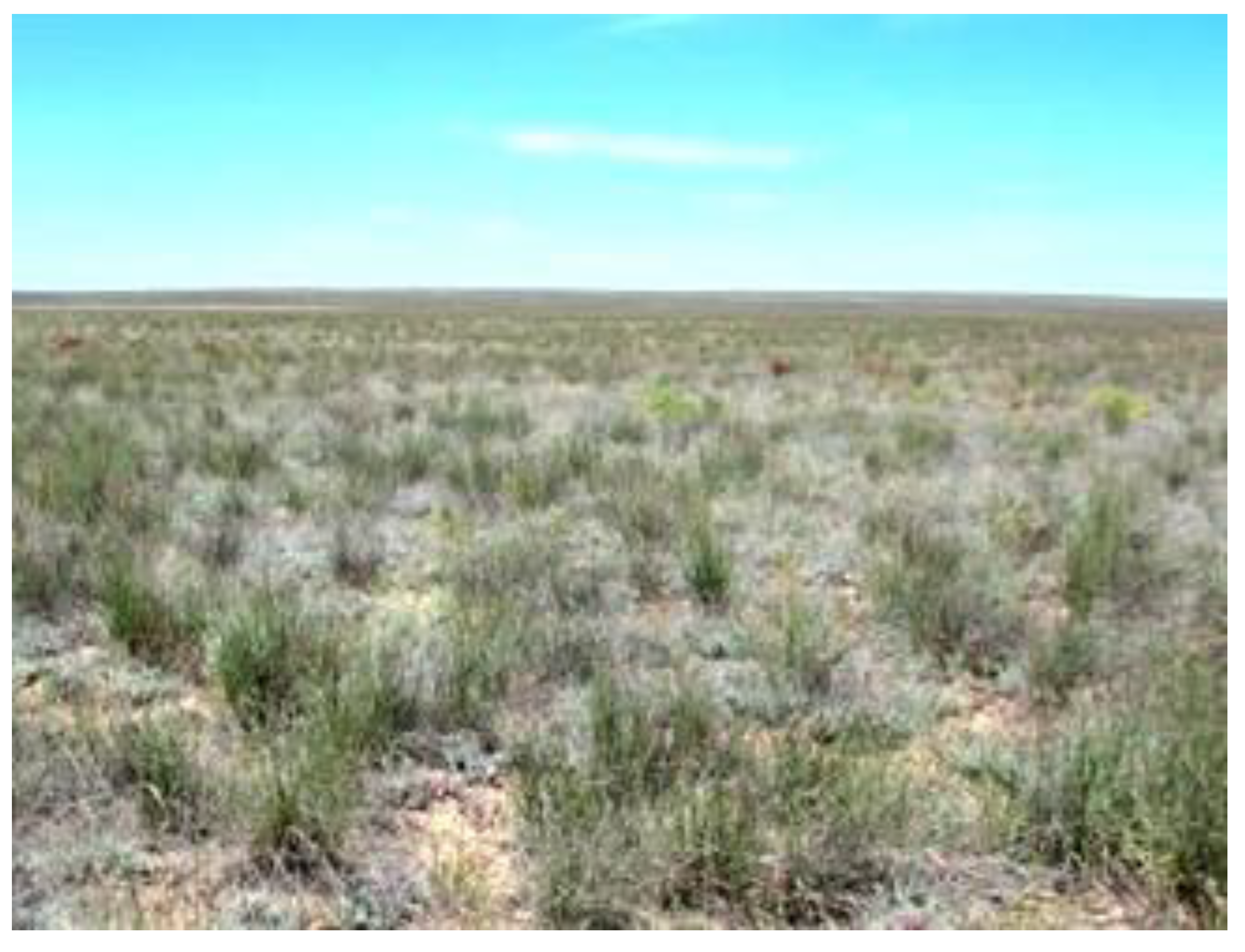 Sustainability 14 16783 g004