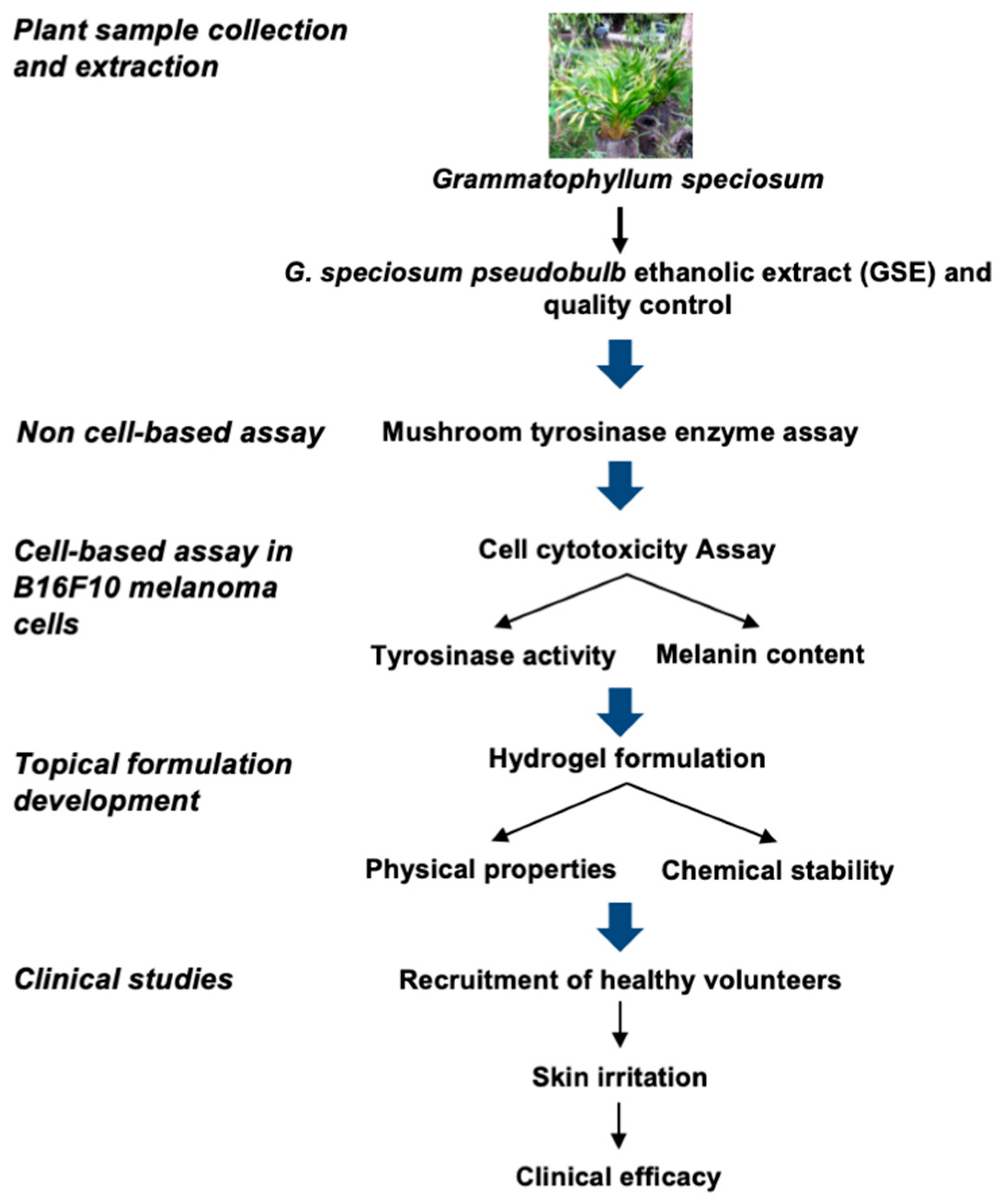 Sustainability 14 16829 g001