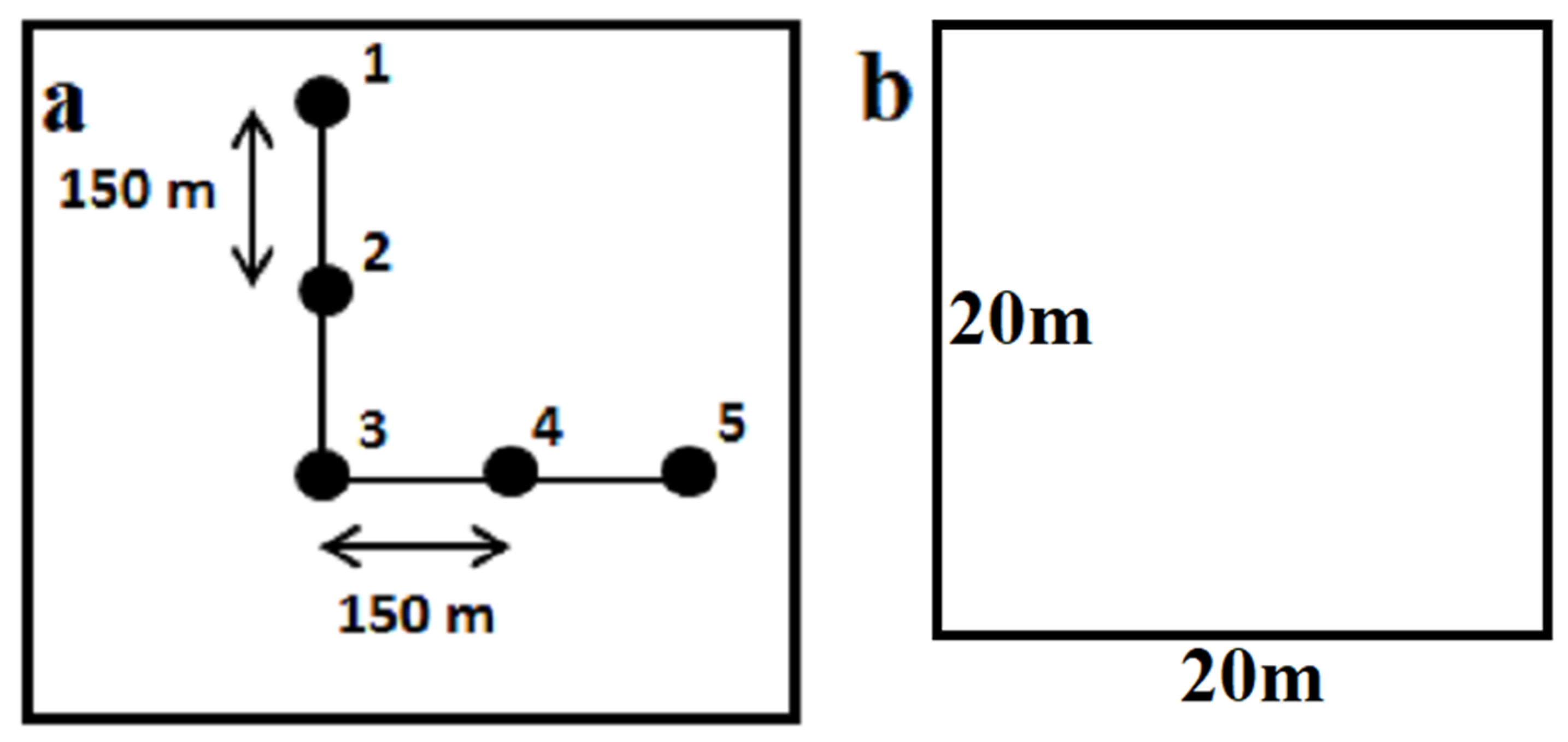 Sustainability 14 16857 g002
