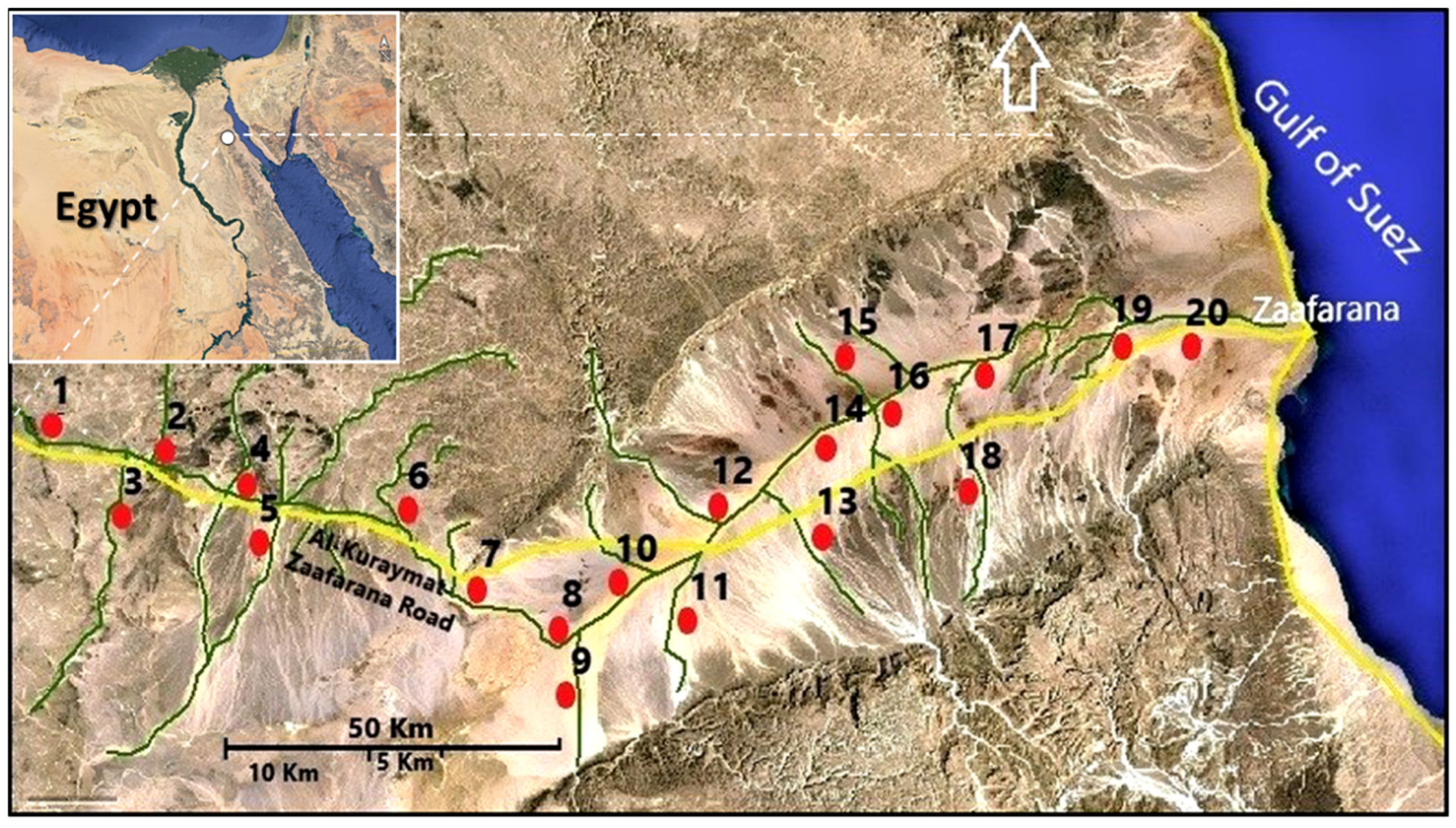 Sustainability 14 16895 g001 Sustainability 14 16895 g001