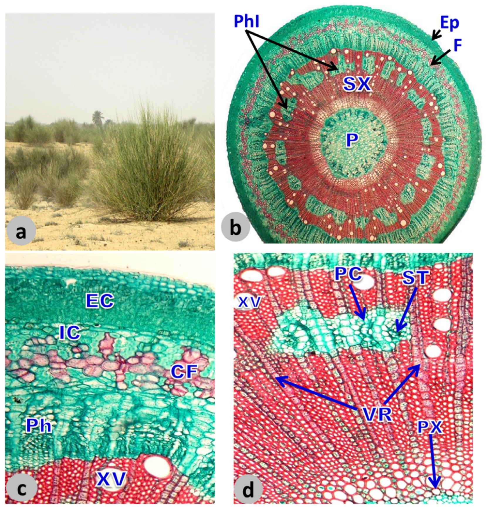 Sustainability 14 16895 g003 Sustainability 14 16895 g003