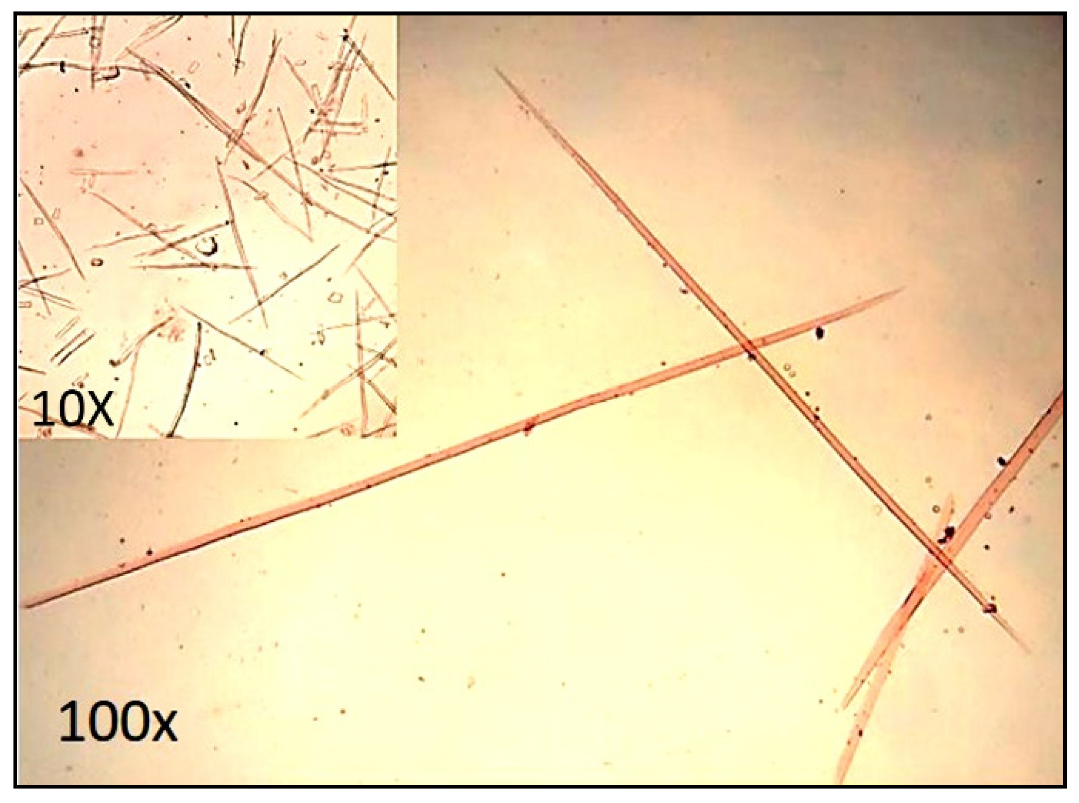 Sustainability 14 16895 g004 Sustainability 14 16895 g004