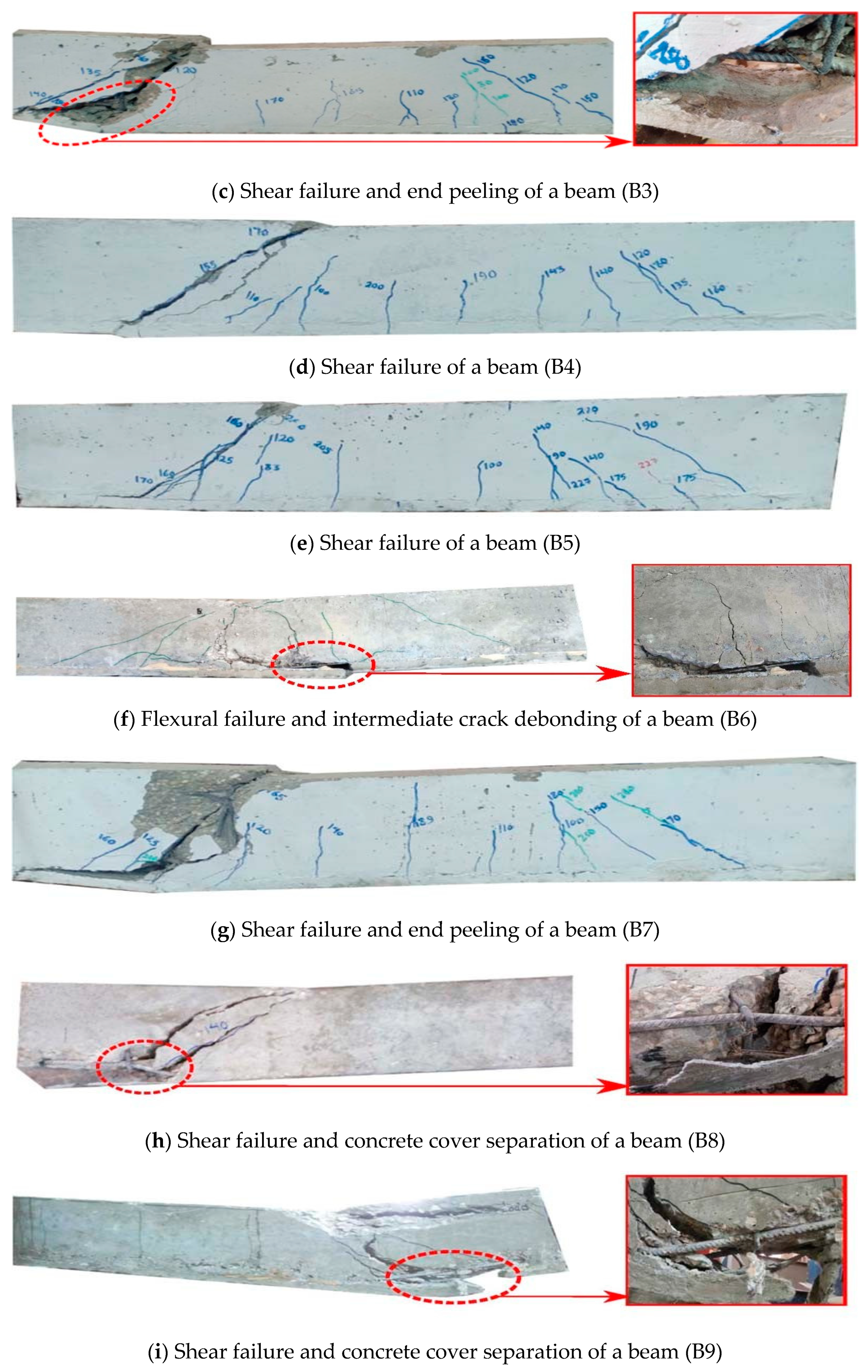 Sustainability 14 16990 g009b