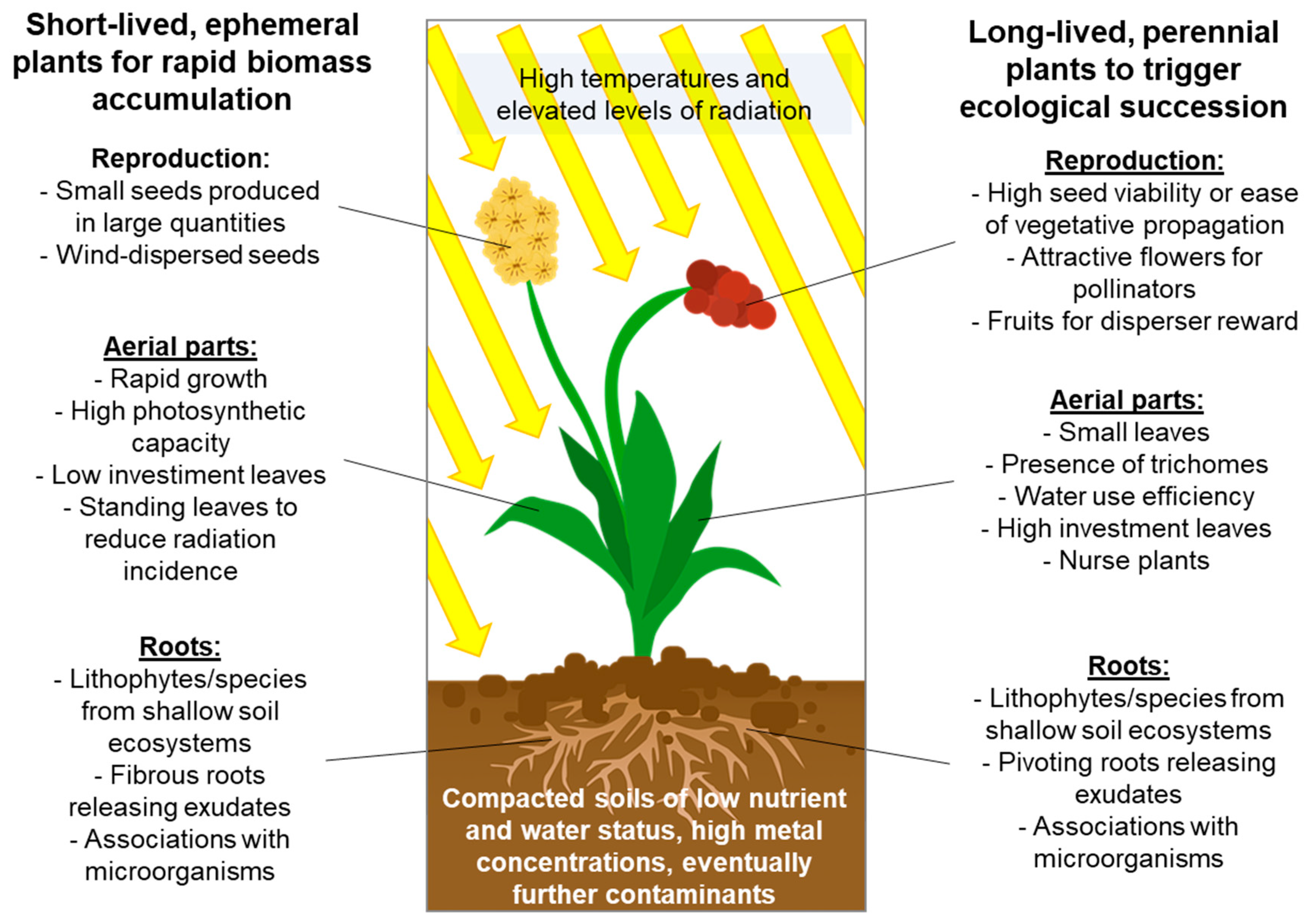 Sustainability 14 17003 g003 Sustainability 14 17003 g003