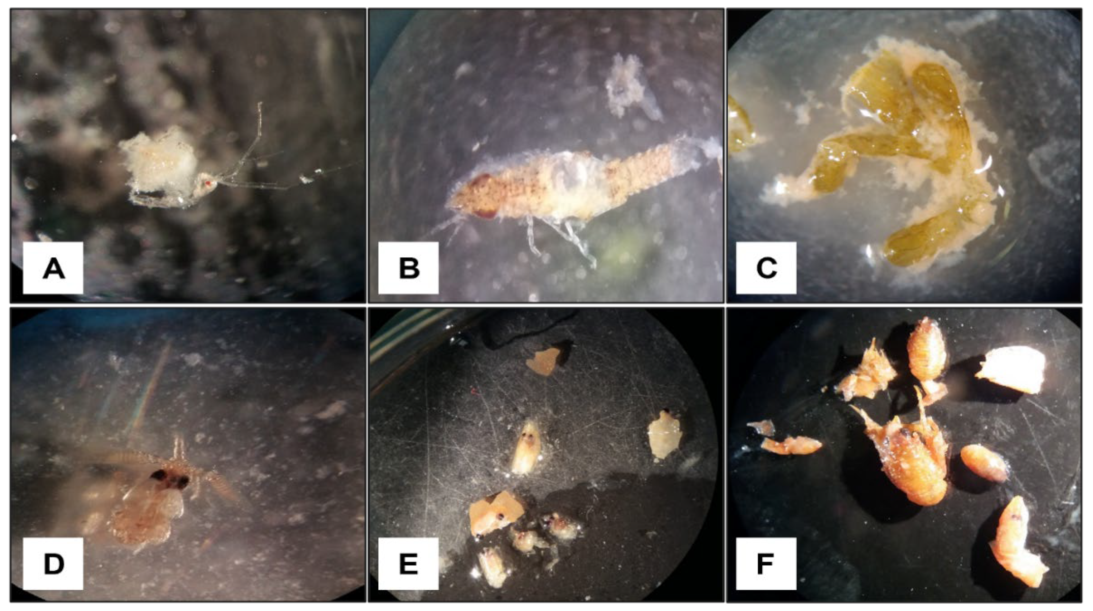 Sustainability 15 00011 g002 Sustainability 15 00011 g002