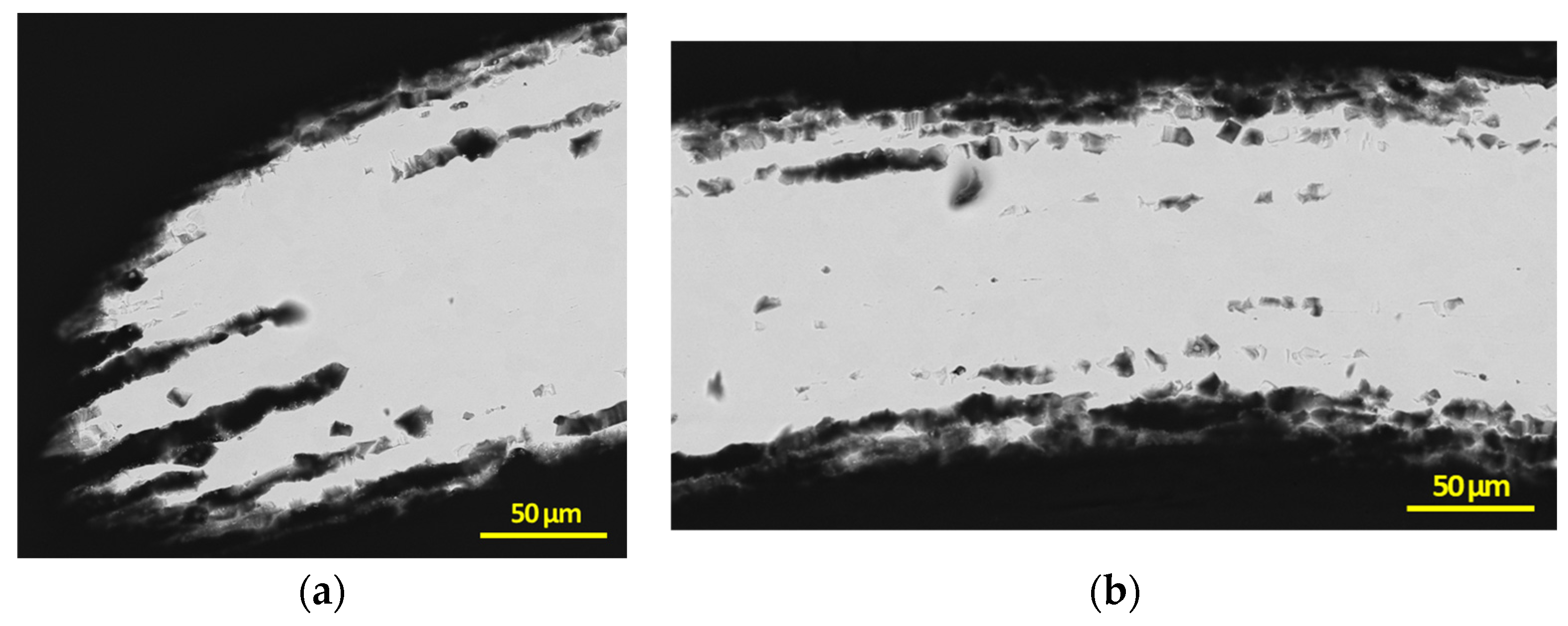 Sustainability 15 00022 g009