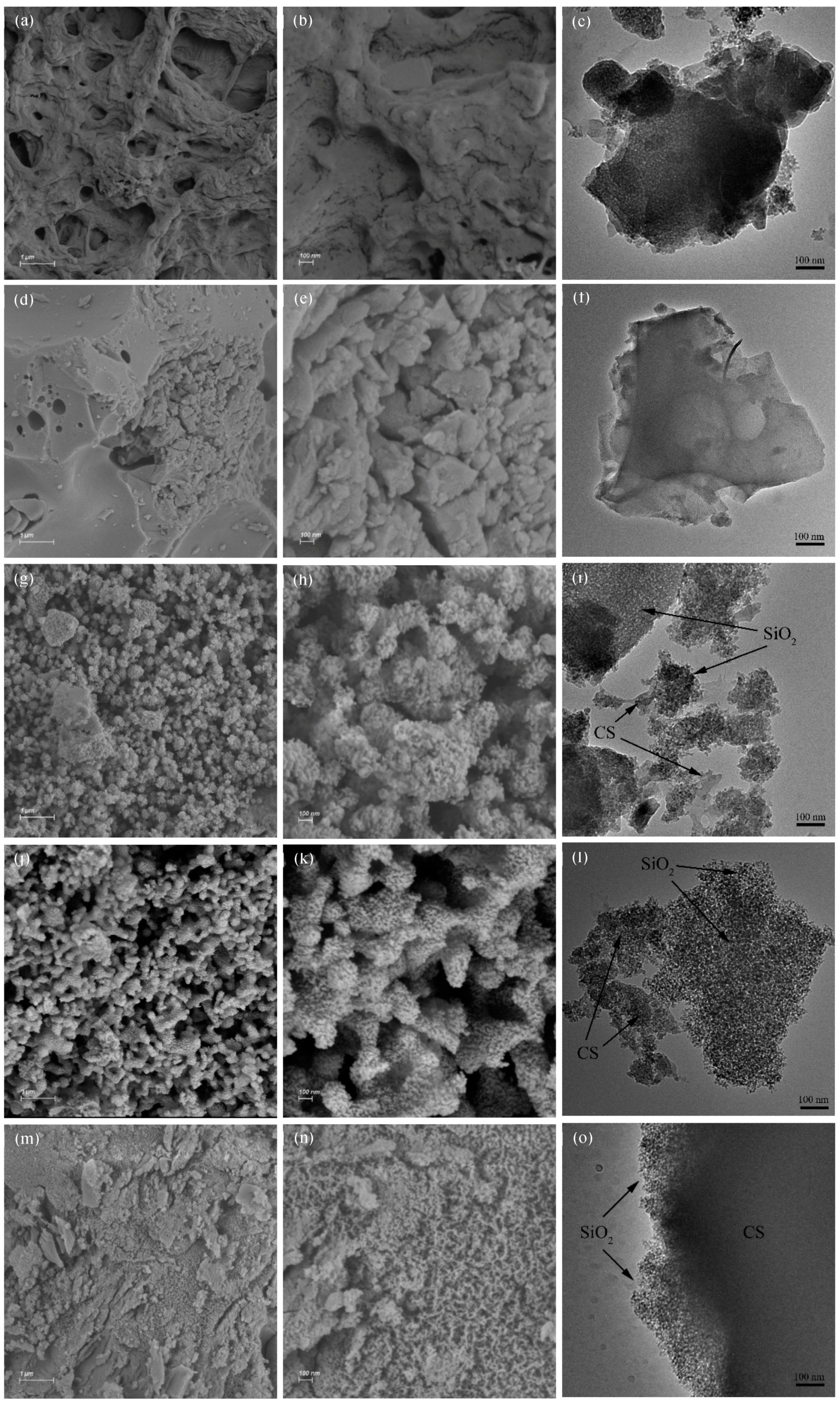 Sustainability 15 00047 g004