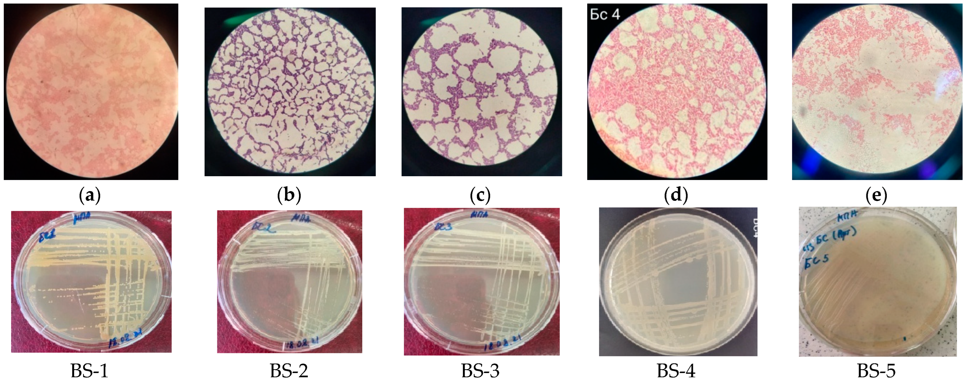 Sustainability 15 00051 g001