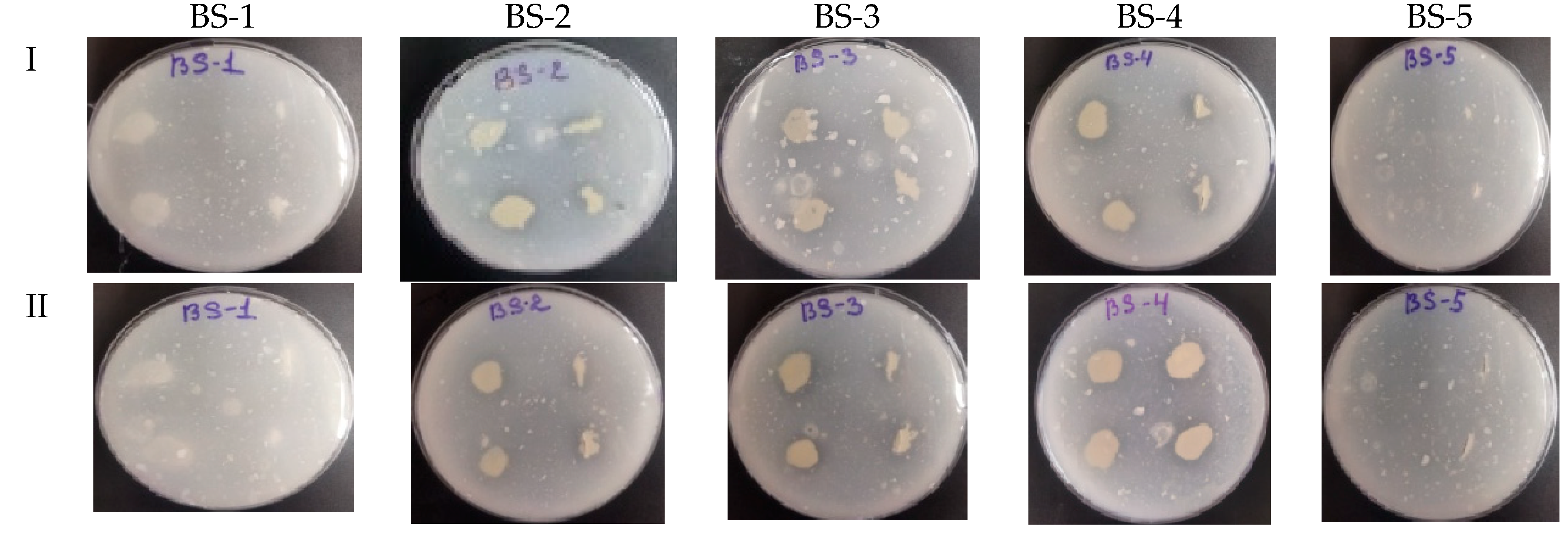 Sustainability 15 00051 g005