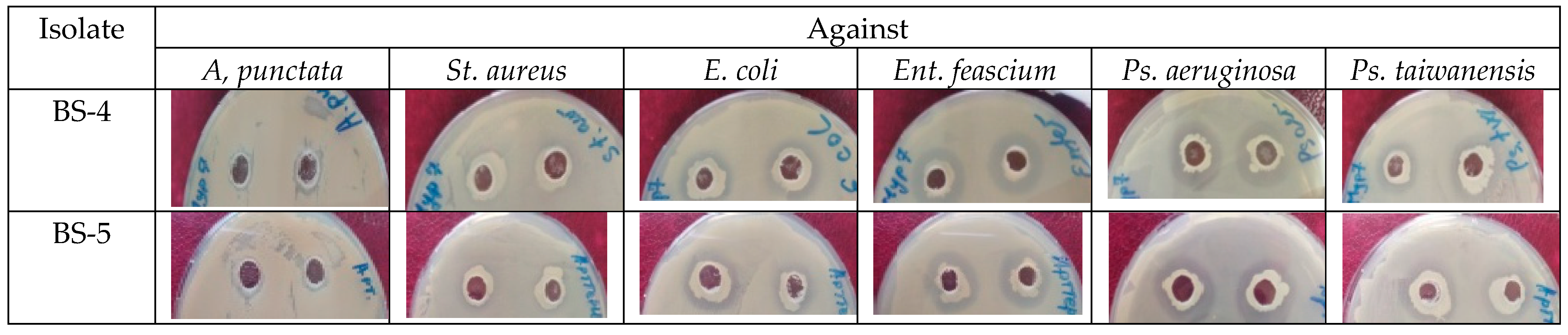 Sustainability 15 00051 g006