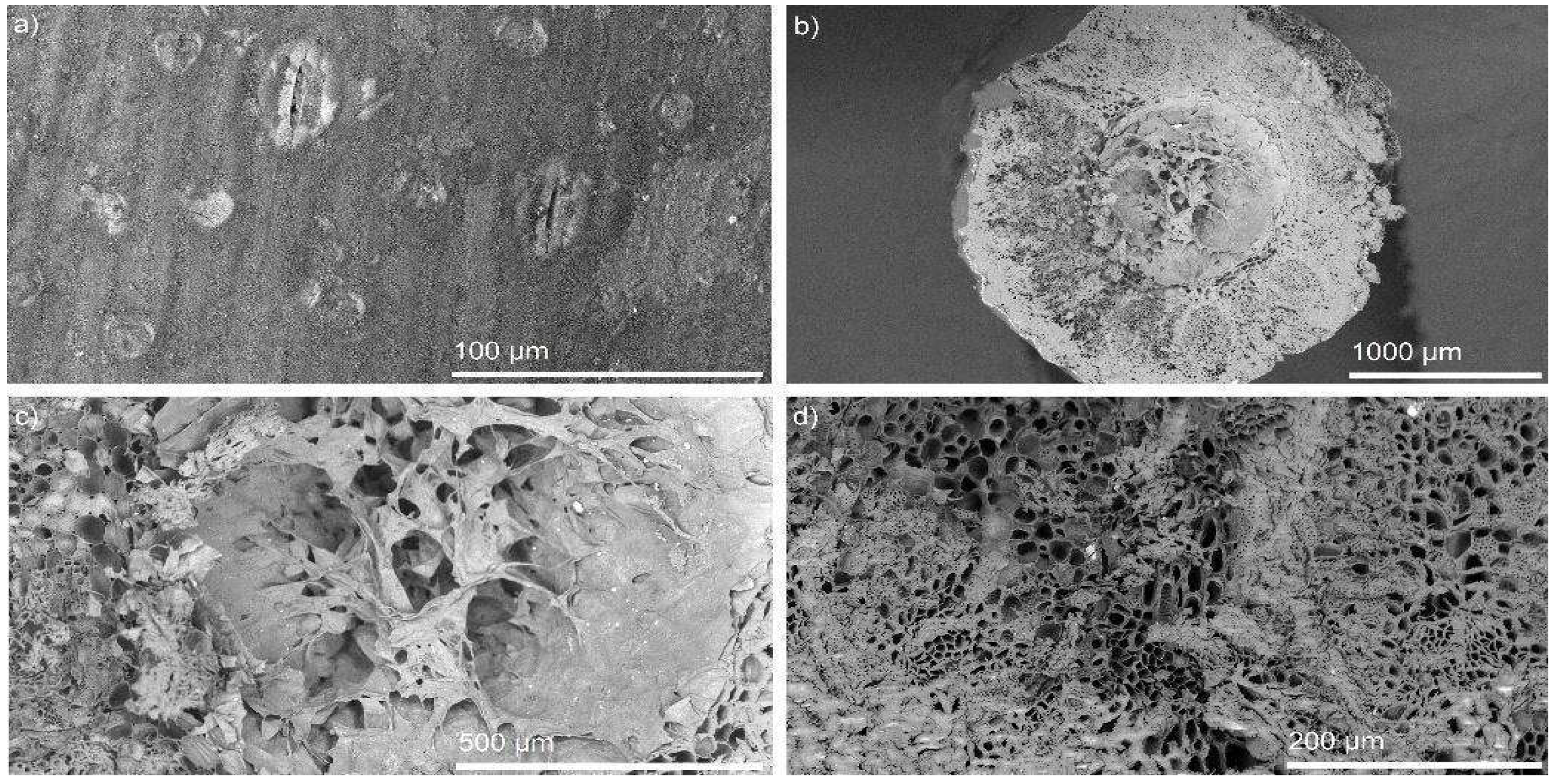 Sustainability 15 00058 g006 Sustainability 15 00058 g006