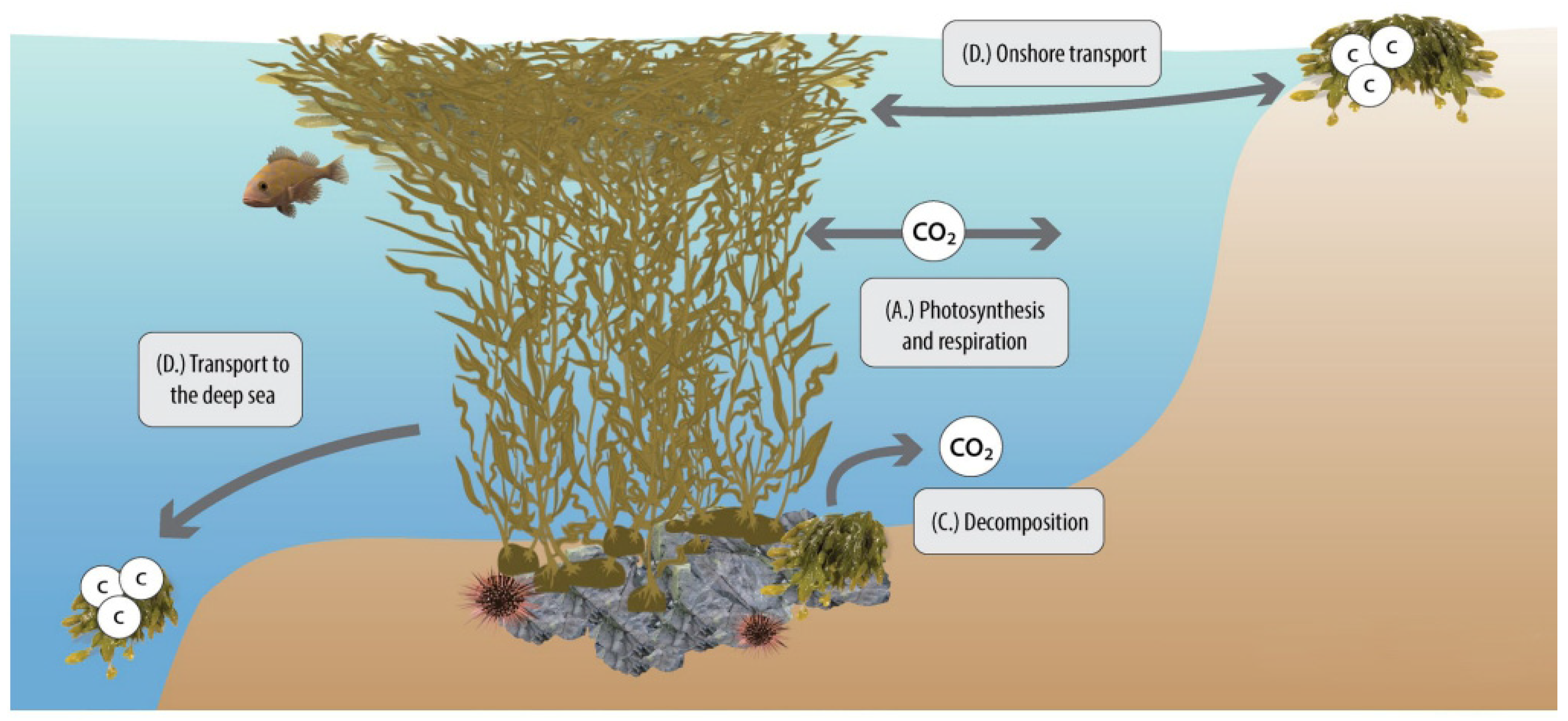 Sustainability 15 00088 g020