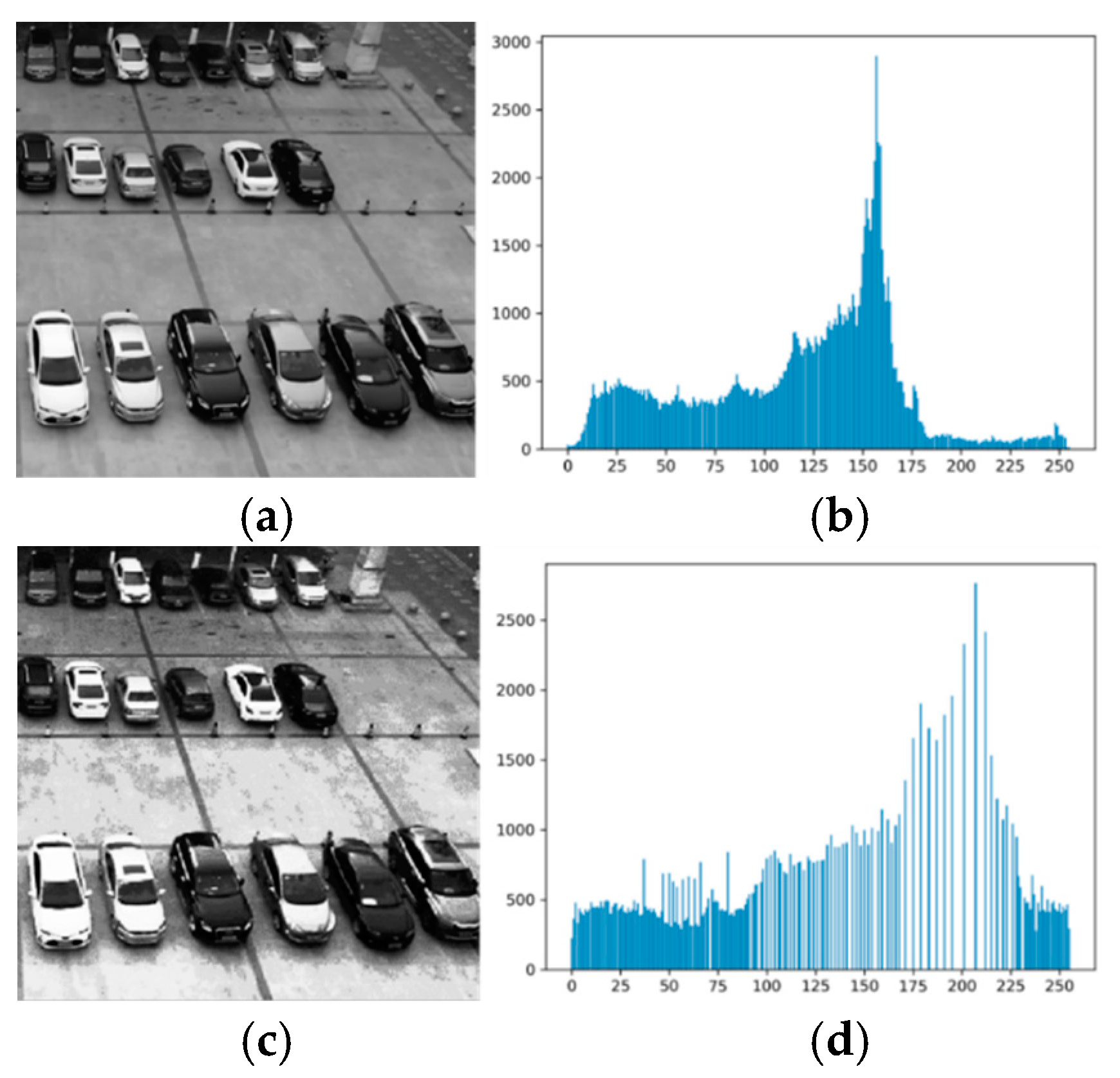 Sustainability 15 00107 g001