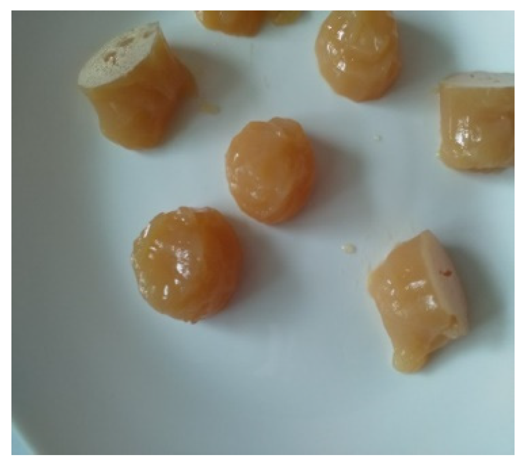 Sustainability 15 00110 g001