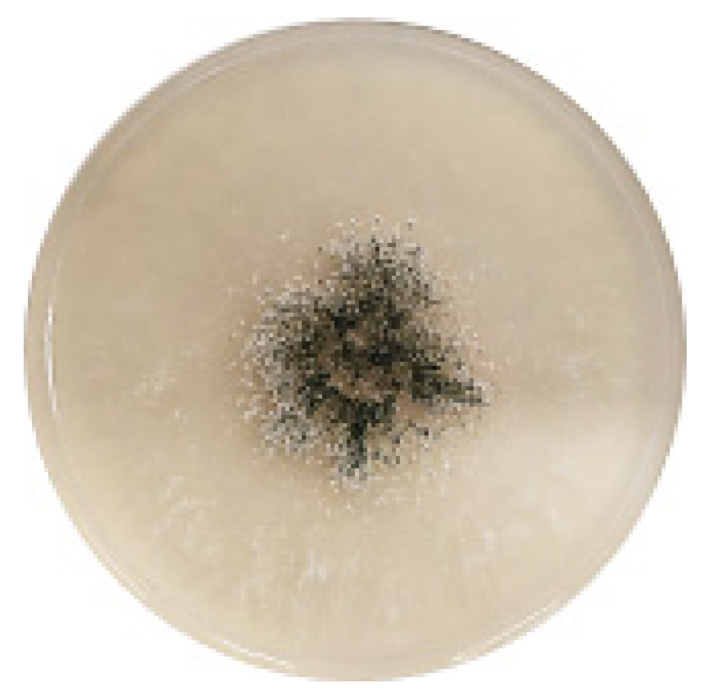 Sustainability 15 00168 g001 Sustainability 15 00168 g001