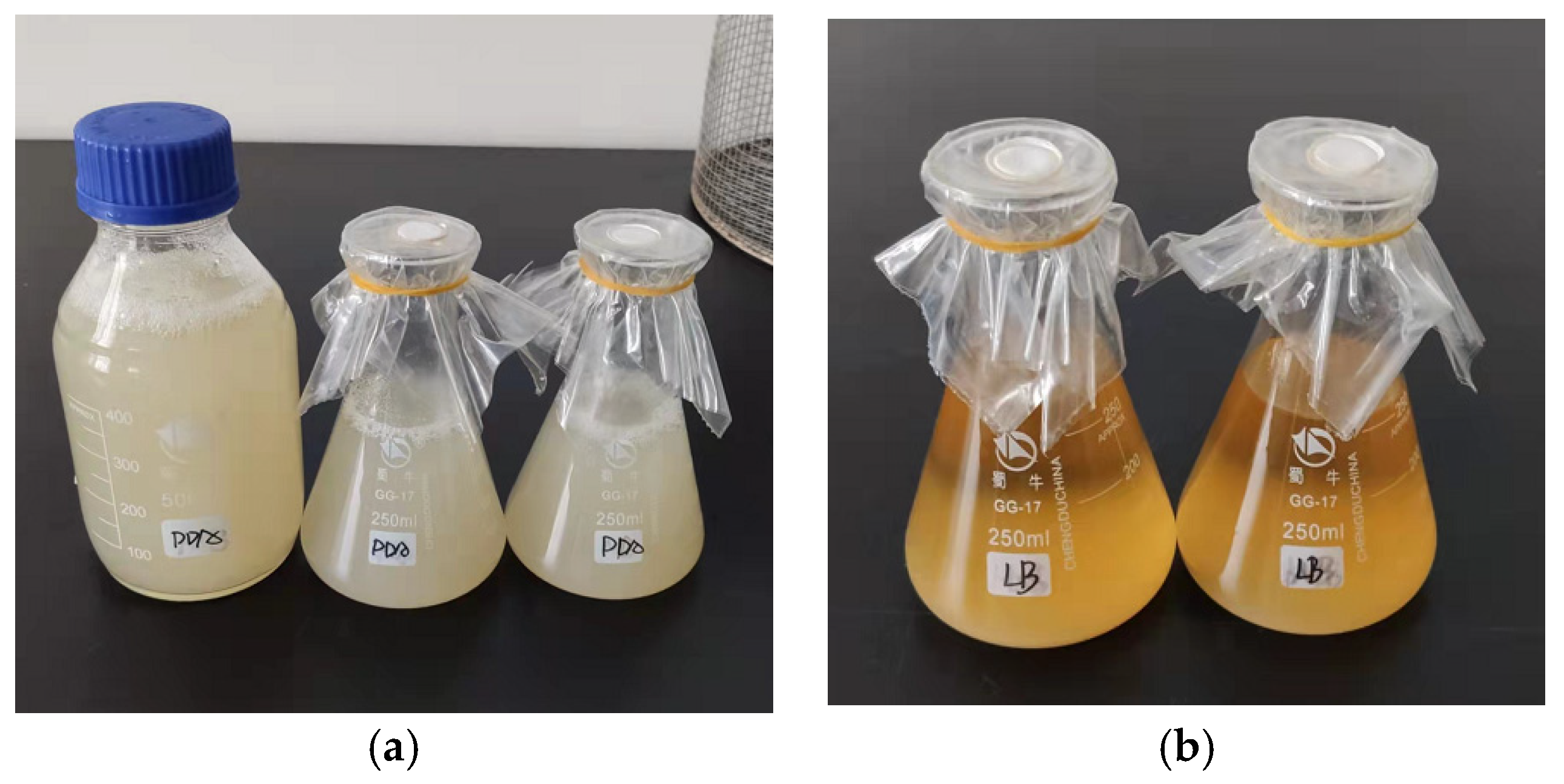 Sustainability 15 00173 g009 Sustainability 15 00173 g009