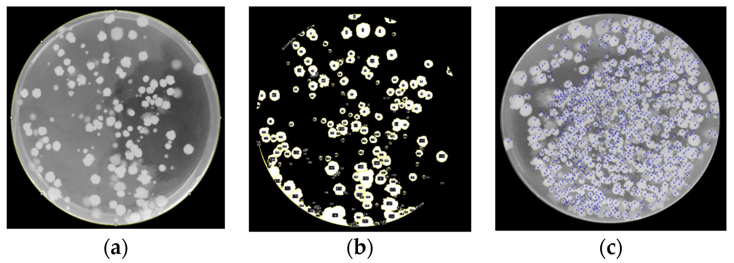 Sustainability 15 00173 g010 Sustainability 15 00173 g010