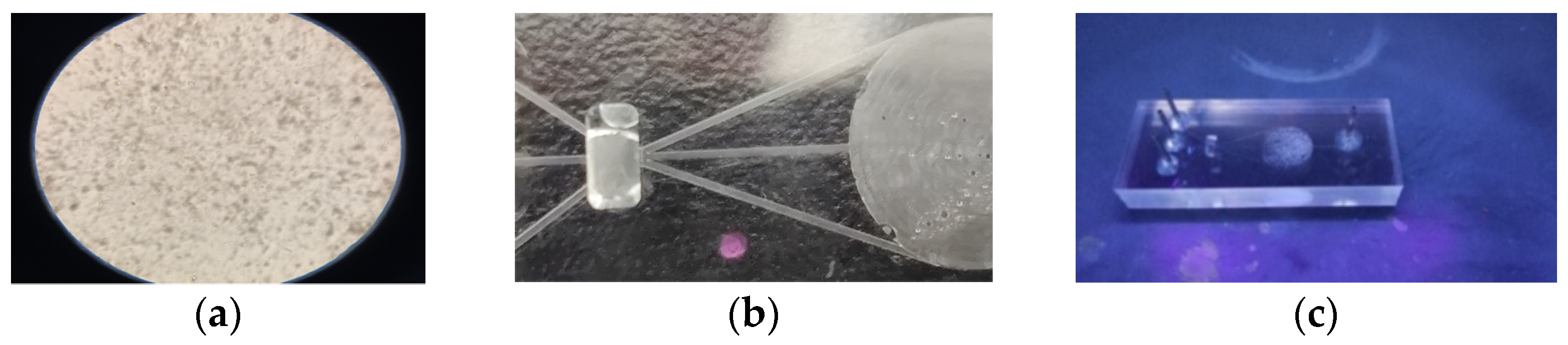 Sustainability 15 00173 g012 Sustainability 15 00173 g012