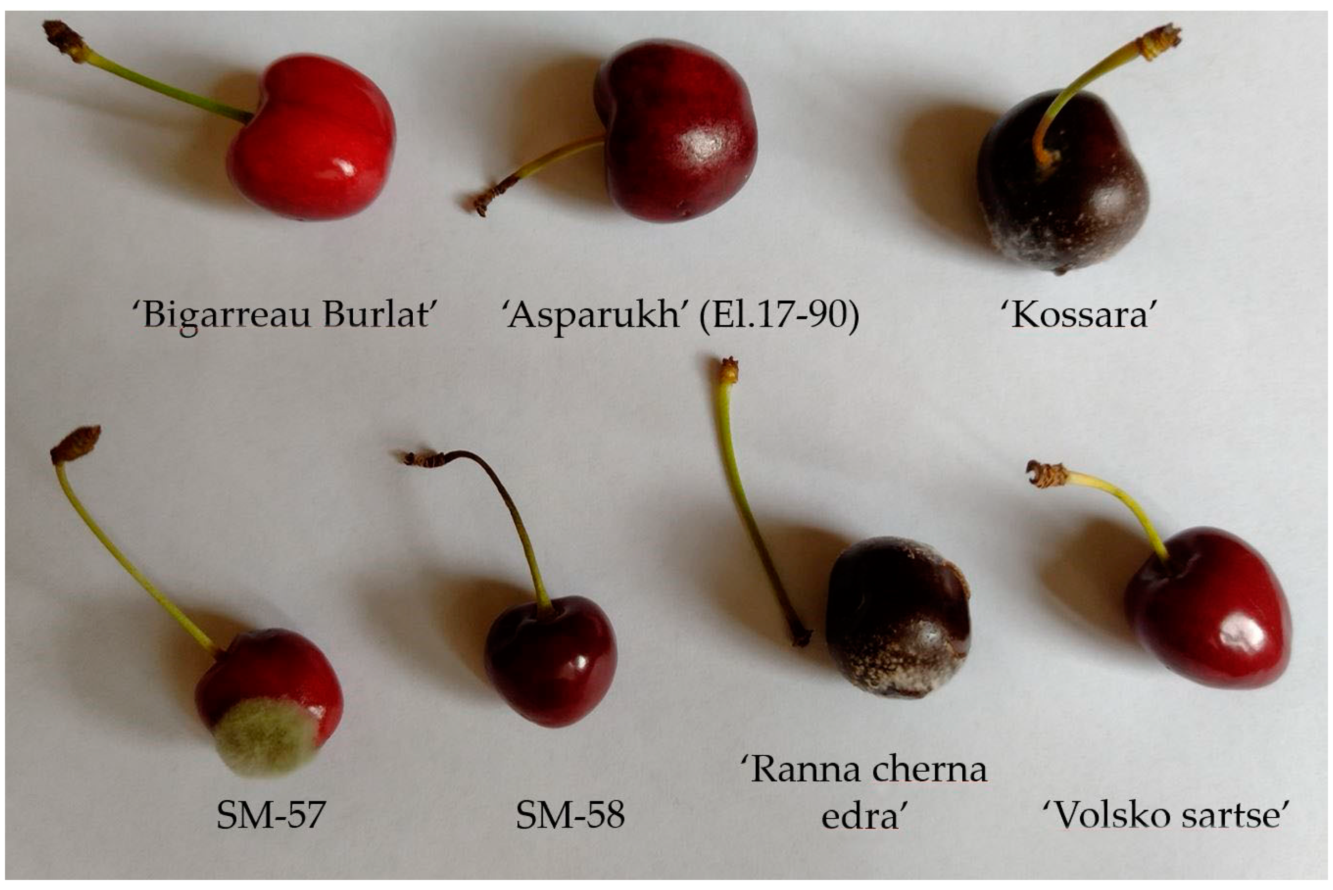 Sustainability 15 00174 g003