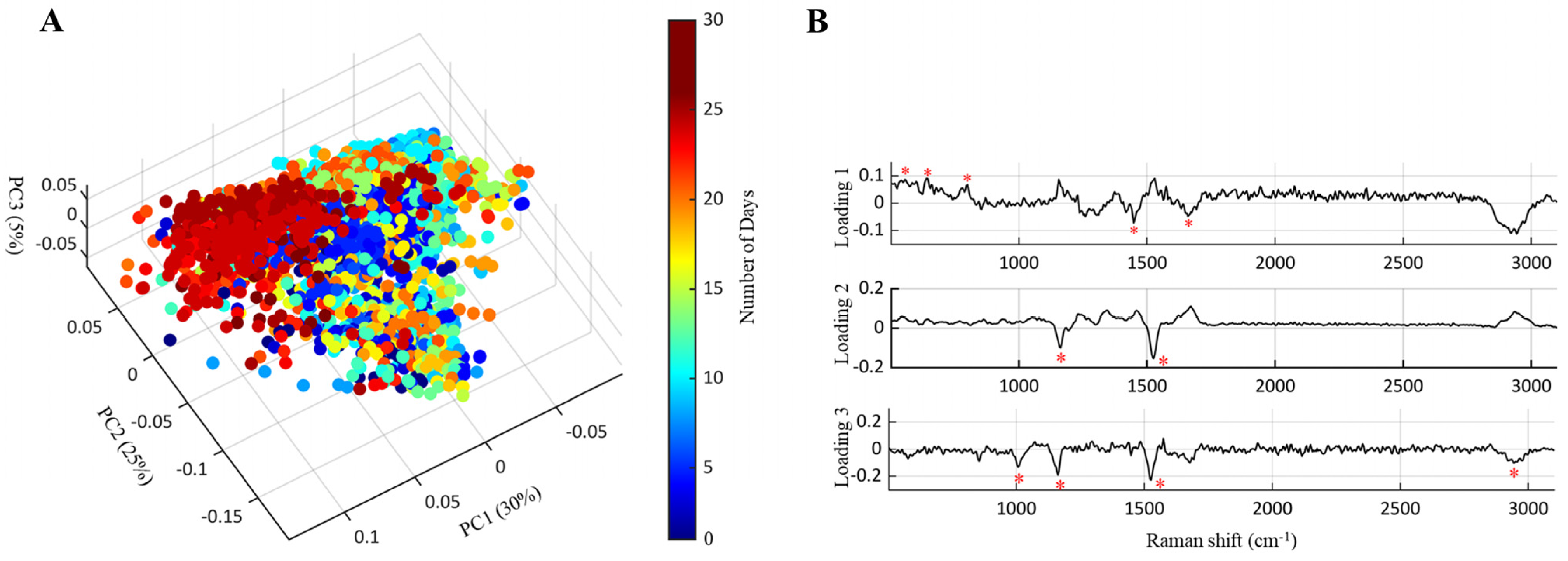 Sustainability 15 00188 g003