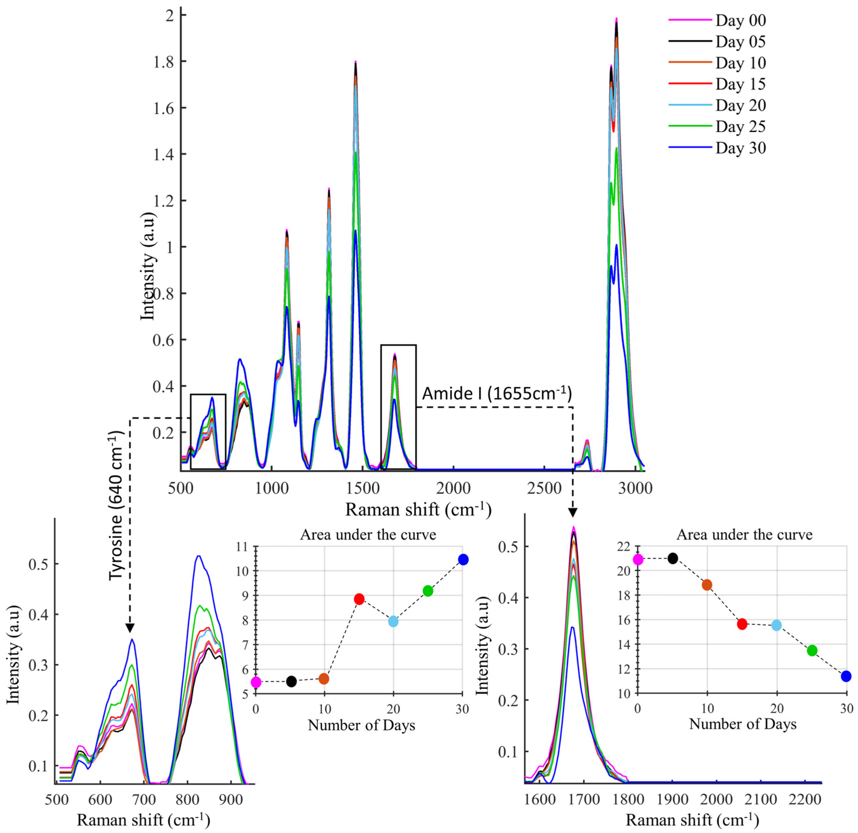 Sustainability 15 00188 g005
