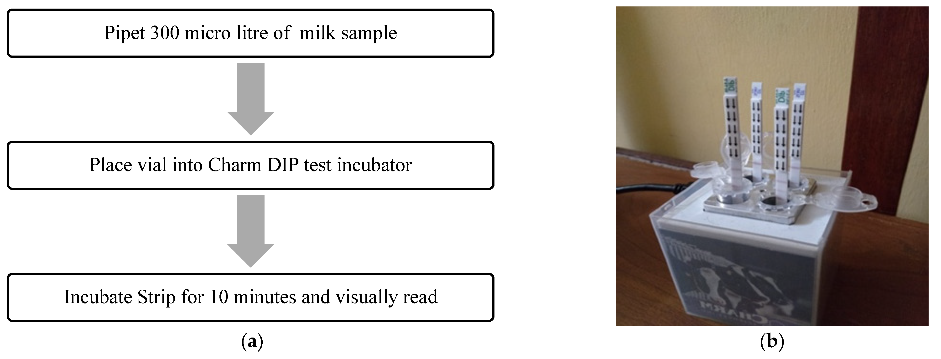 Sustainability 15 00206 g002