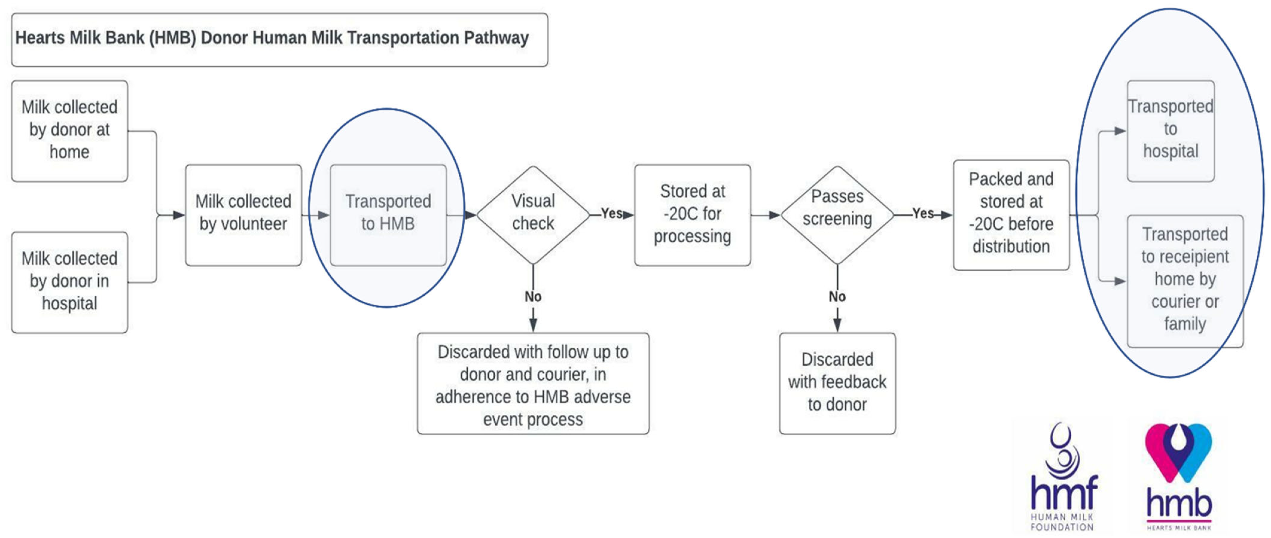 Sustainability 15 00243 g002