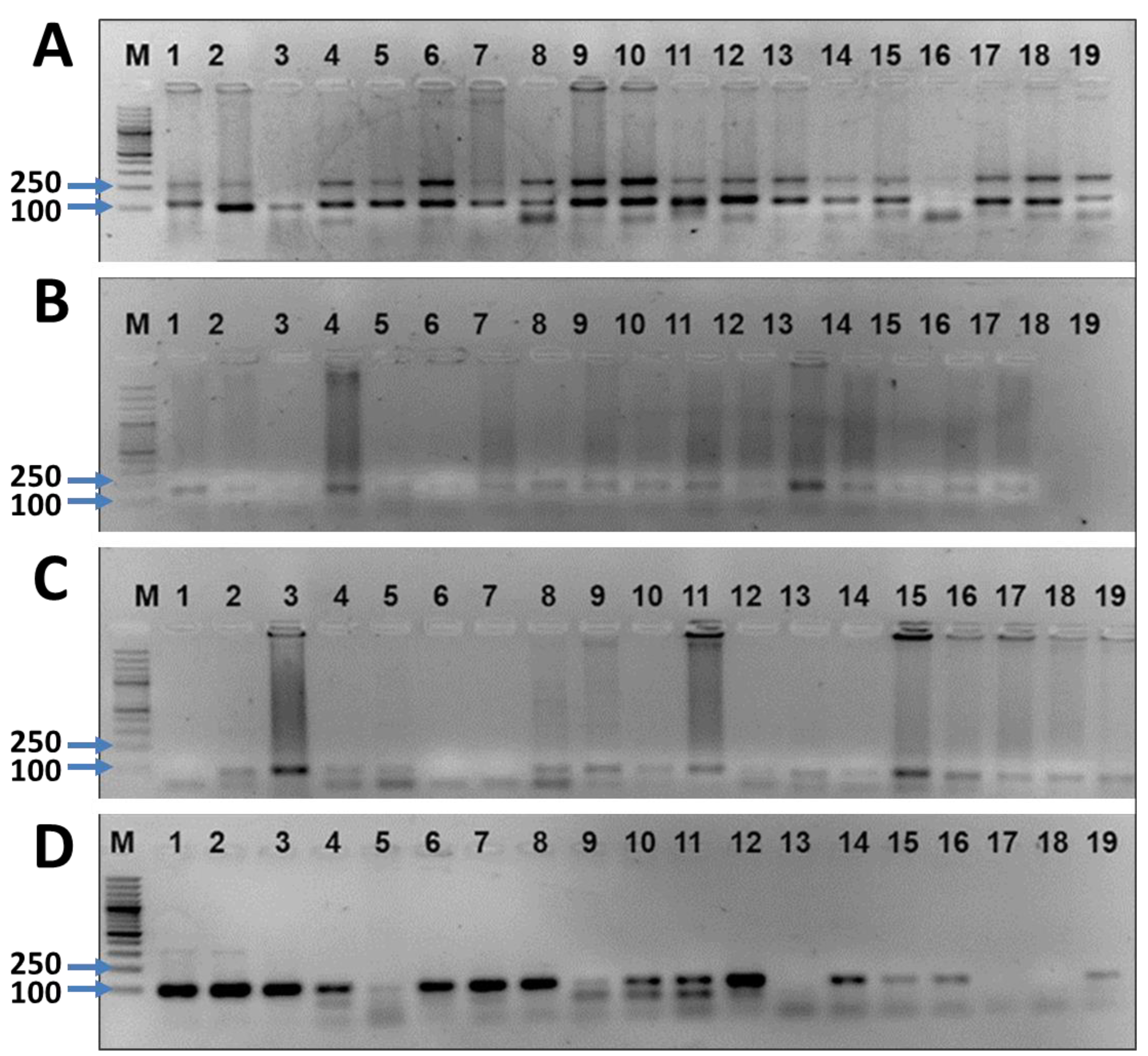 Sustainability 15 00293 g005 Sustainability 15 00293 g005