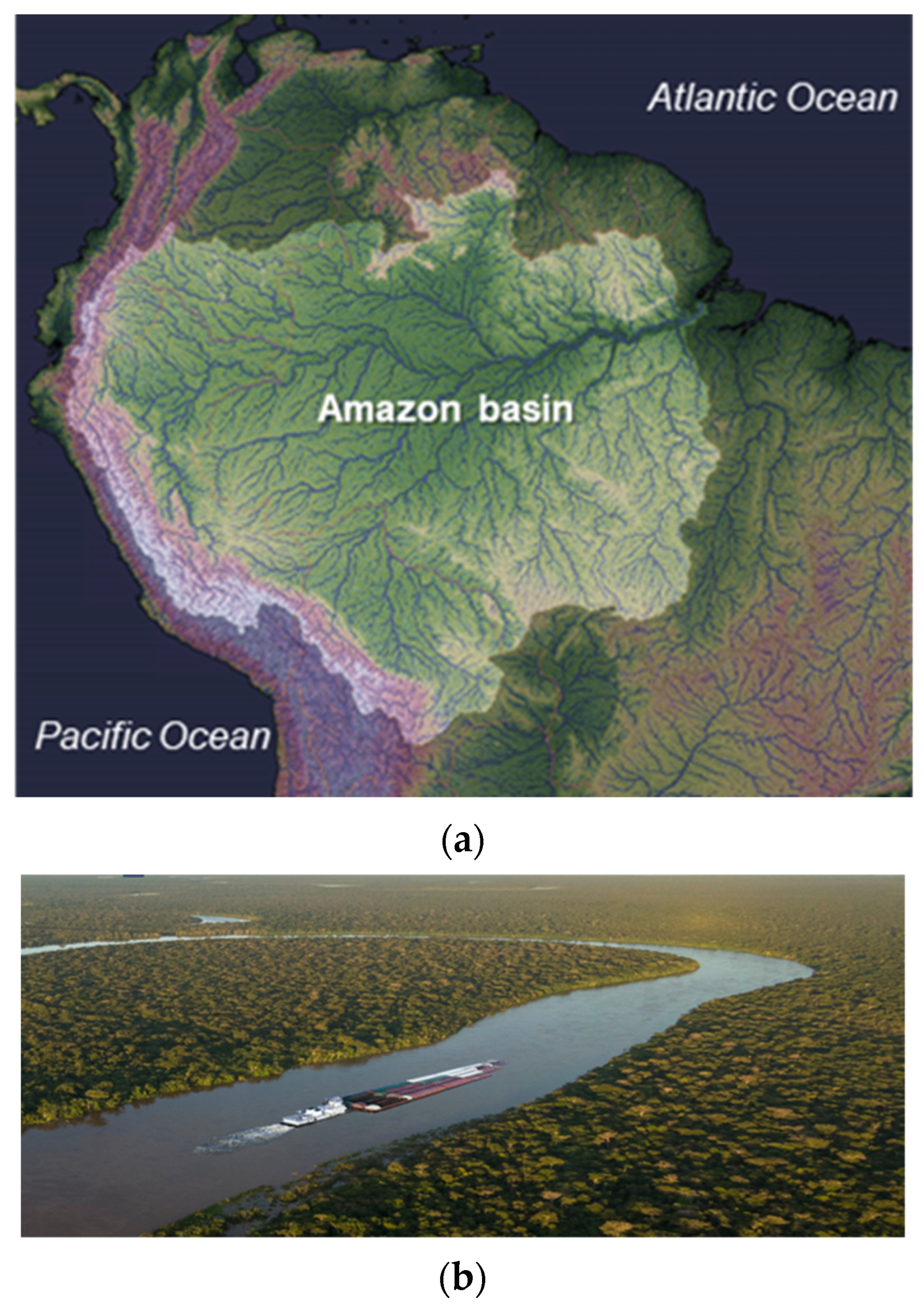Marine Accidents in the Brazilian Amazon: The Problems and 