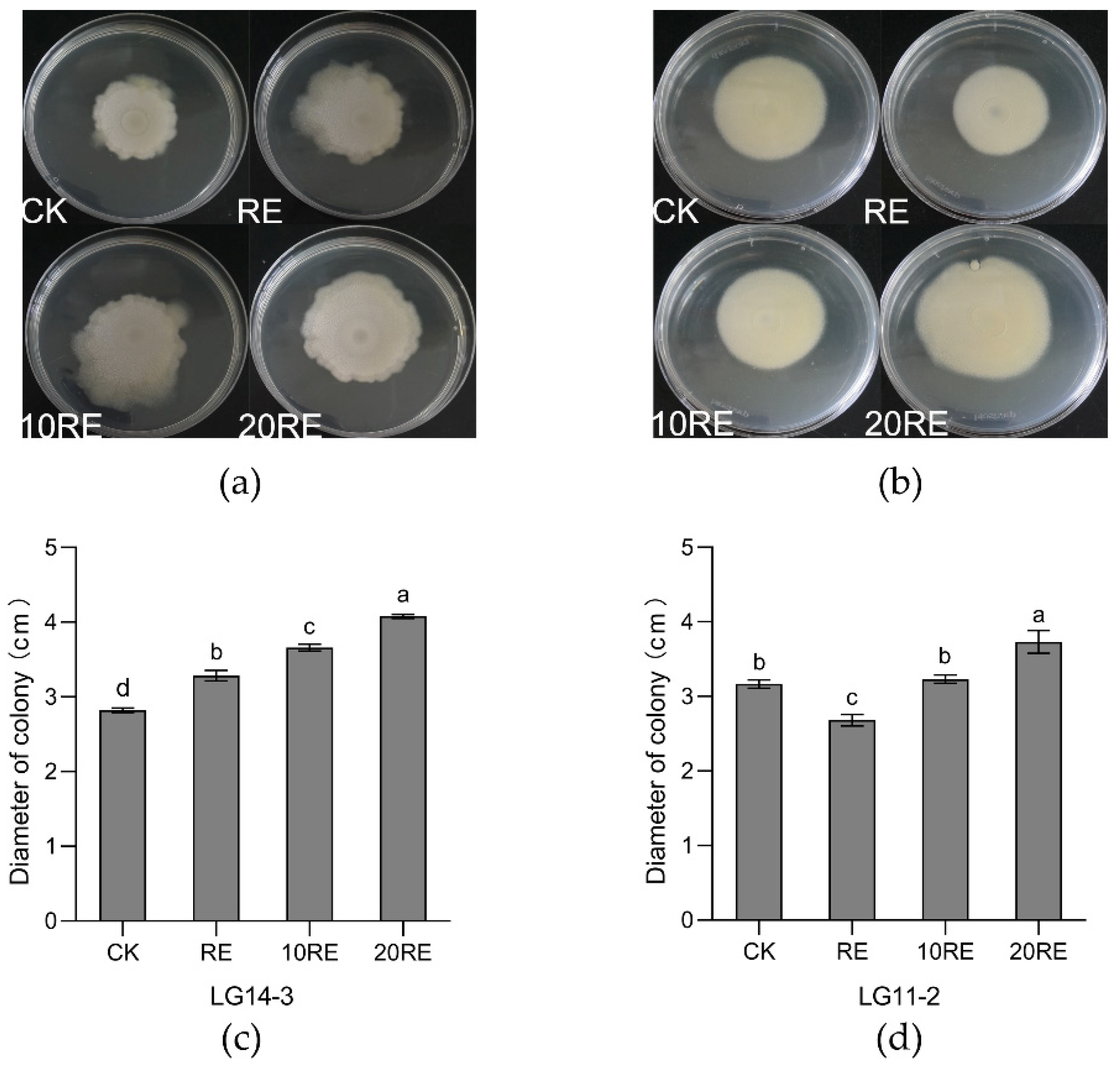 Sustainability 15 00351 g004