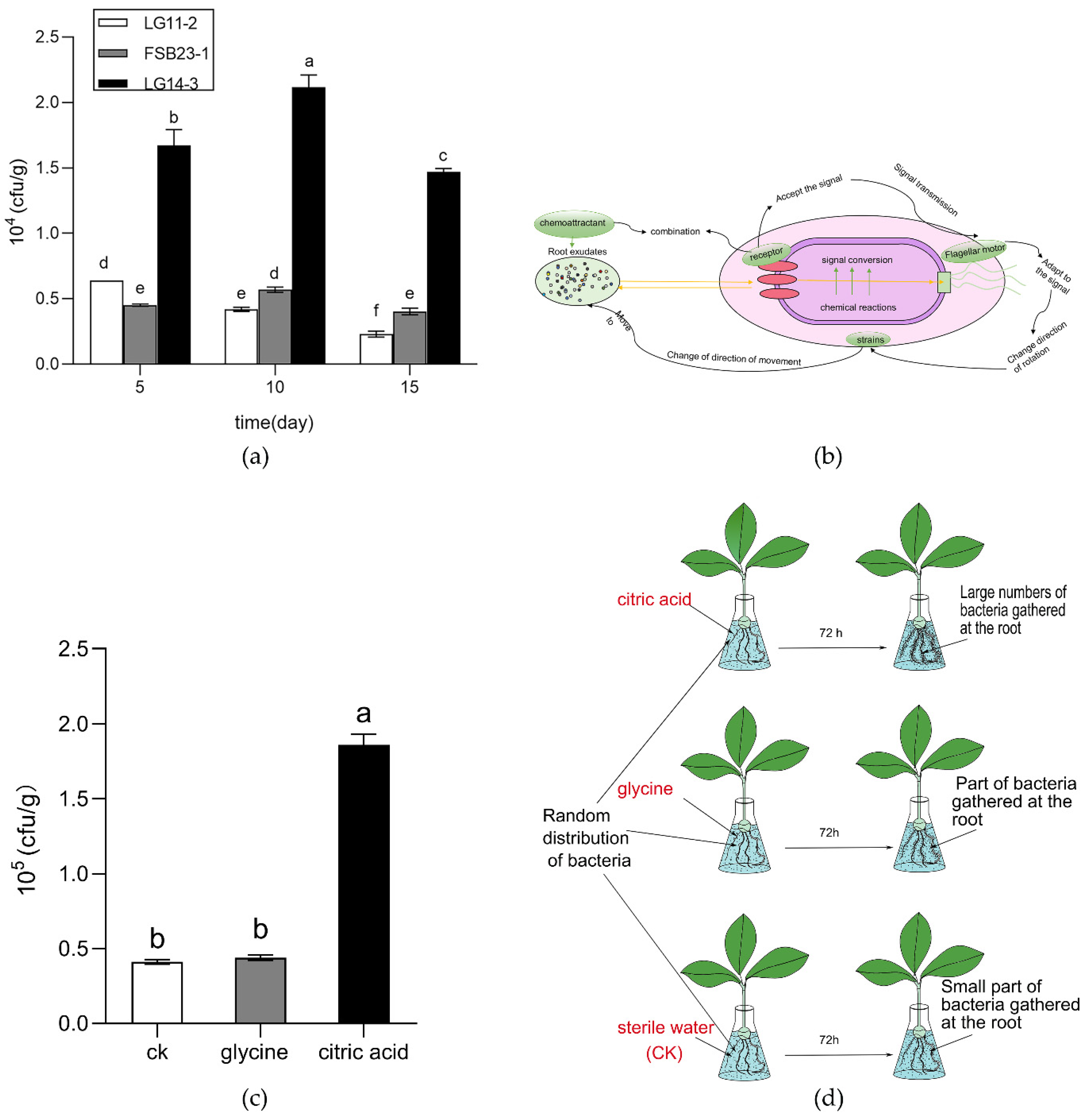 Sustainability 15 00351 g006