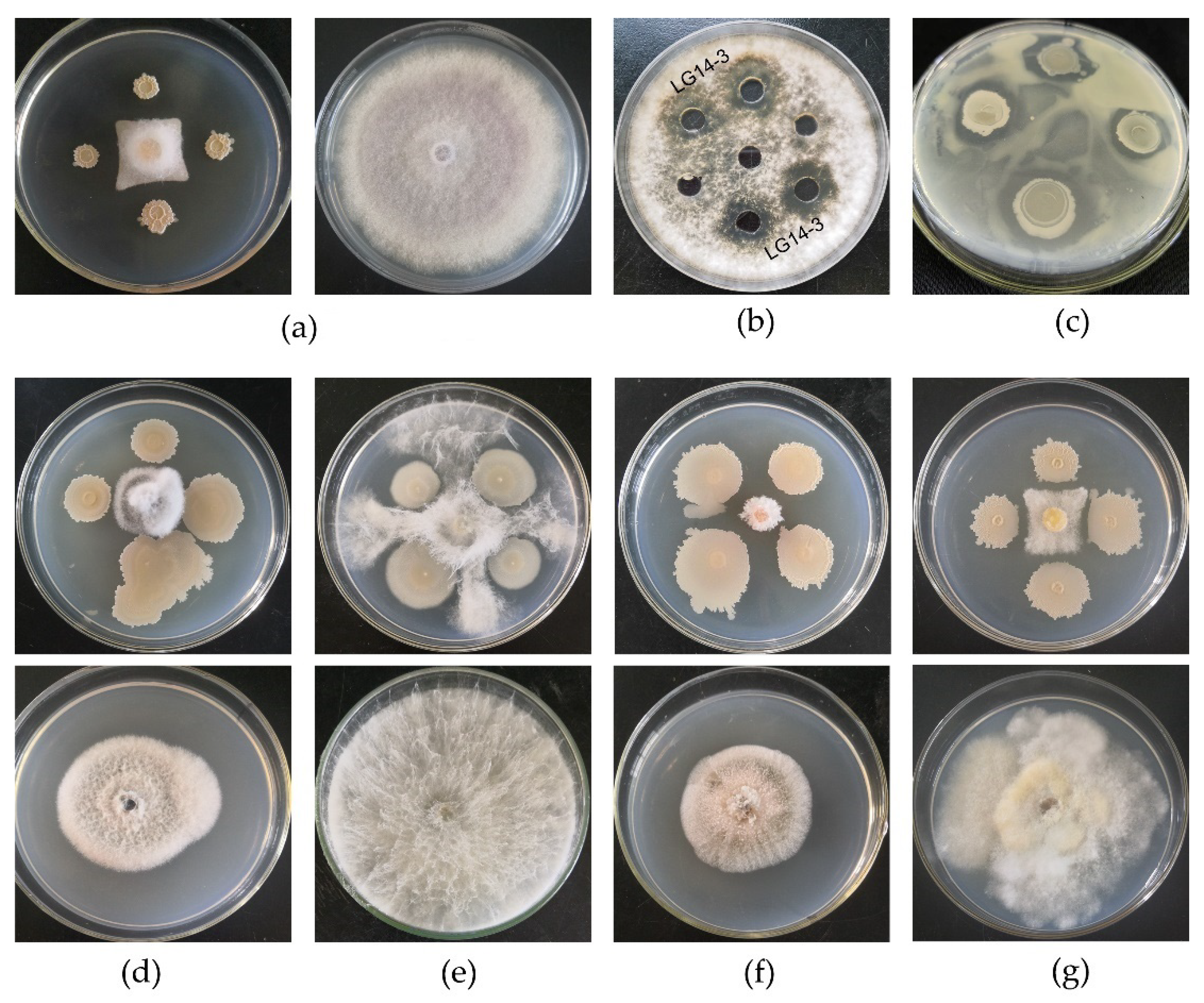 Sustainability 15 00351 g007