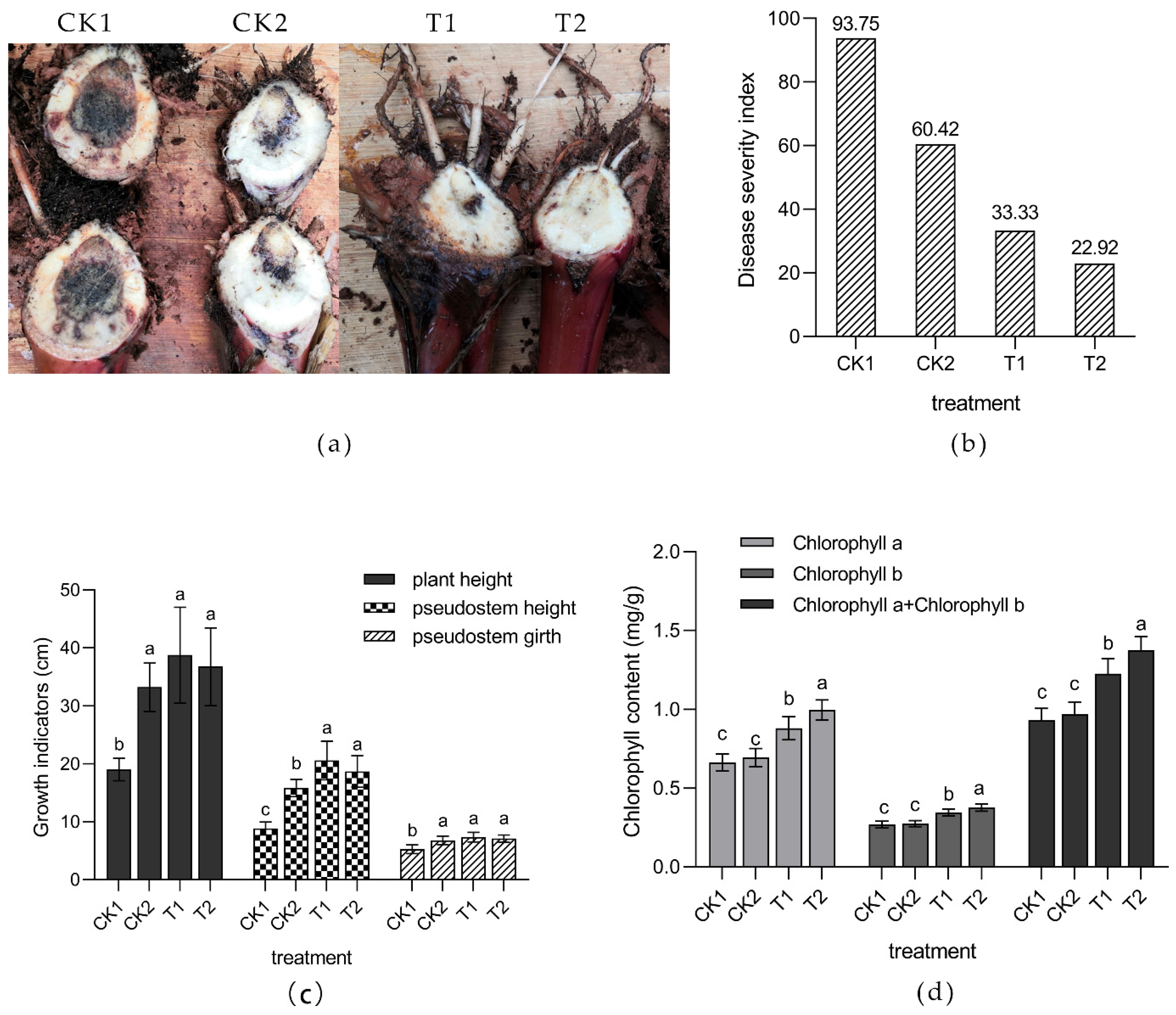 Sustainability 15 00351 g008