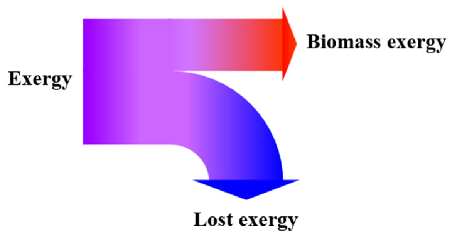 Sustainability 15 00388 g002 Sustainability 15 00388 g002