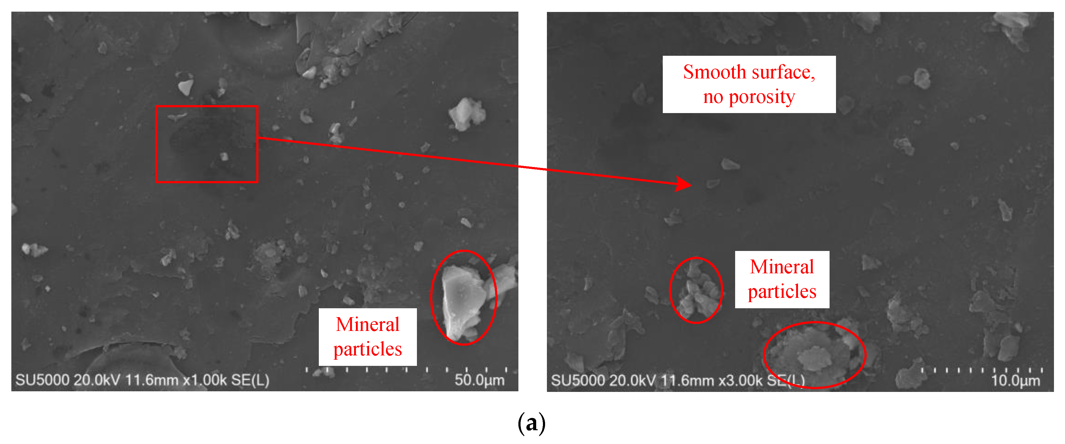 Sustainability 15 00410 g006a Sustainability 15 00410 g006a